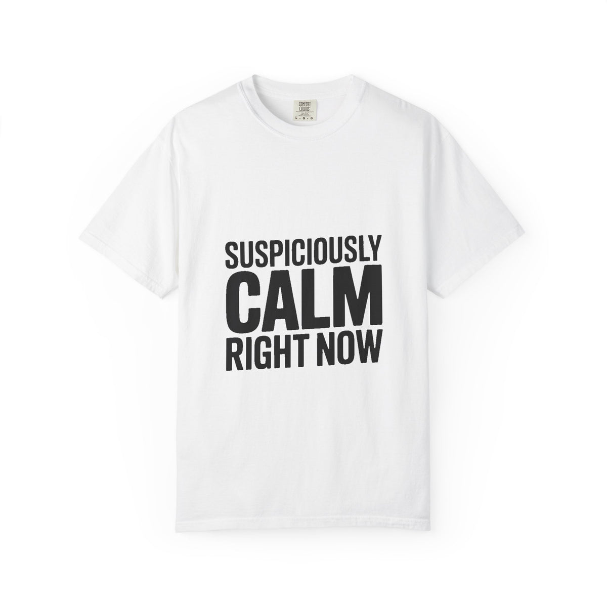 Suspiciously Calm Right Now Shirt, Funny Sarcastic T-Shirt, Bold Typography Tee, Anxiety Humor Shirt, Sarcastic Gift for Him Her