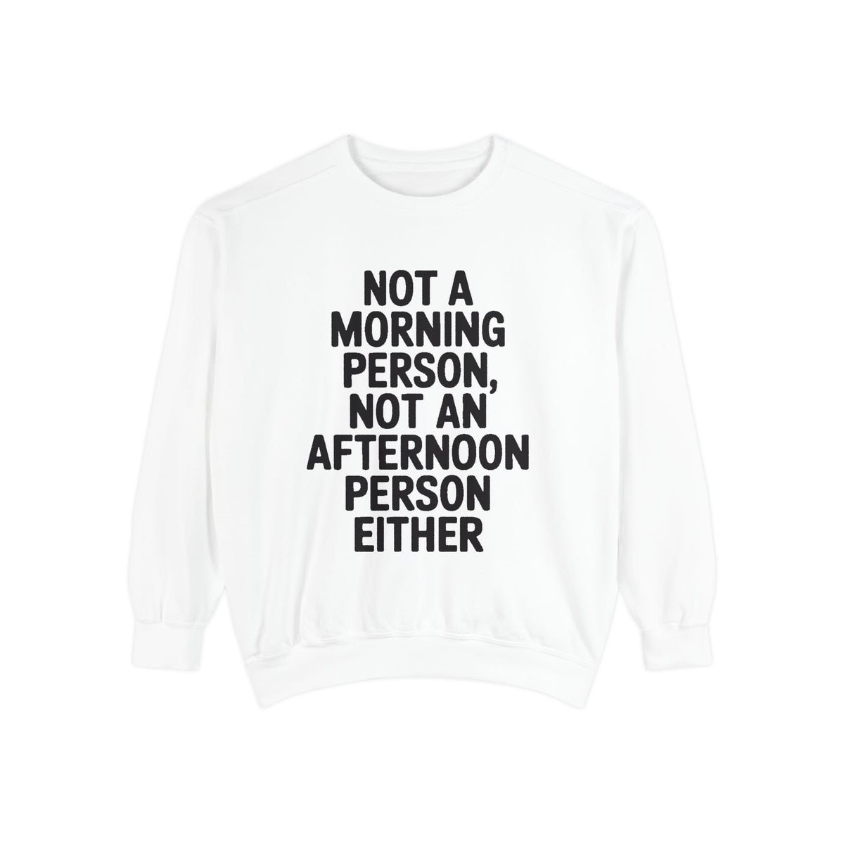 Not A Morning Person Sweatshirt, Funny Sarcastic Crewneck, Anti Morning Afternoon Person Shirt, Introvert Humor Gift