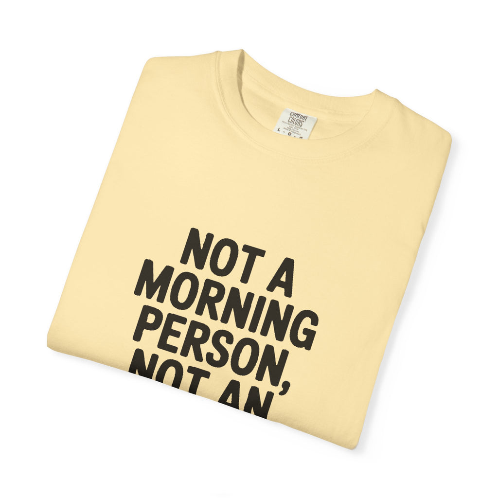 Not A Morning Person Shirt, Funny Sarcastic T-Shirt, Not An Afternoon Person Either Tee, Anti Social Gift