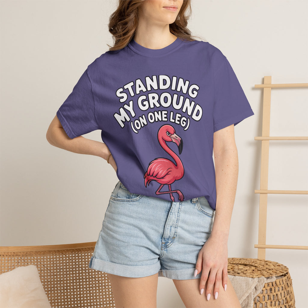 Standing My Ground Flamingo Shirt, Funny One Leg Flamingo T-Shirt, Sassy Bird Lover Gift, Cute Cartoon Flamingo Tee