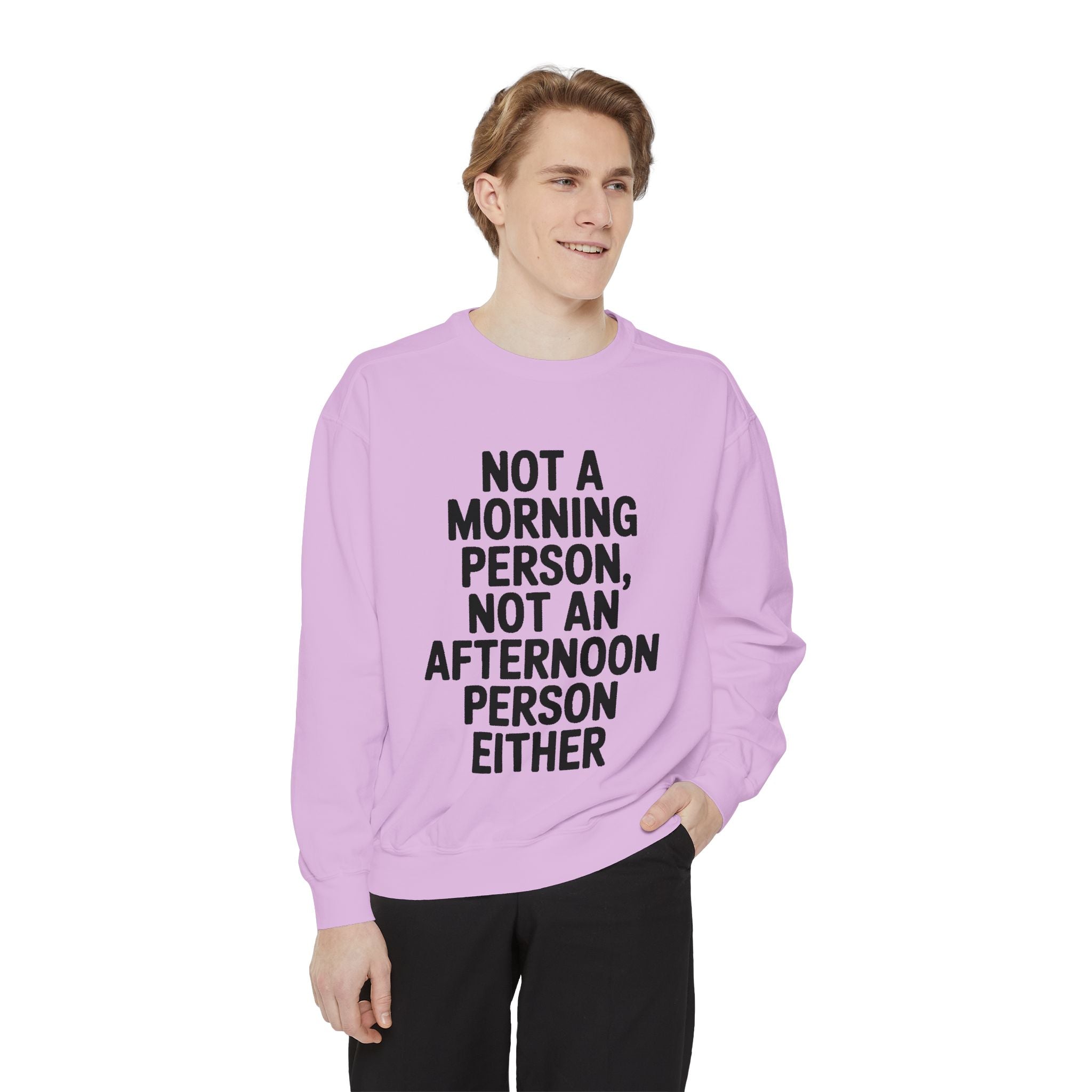 Not A Morning Person Sweatshirt, Funny Sarcastic Crewneck, Anti Morning Afternoon Person Shirt, Introvert Humor Gift