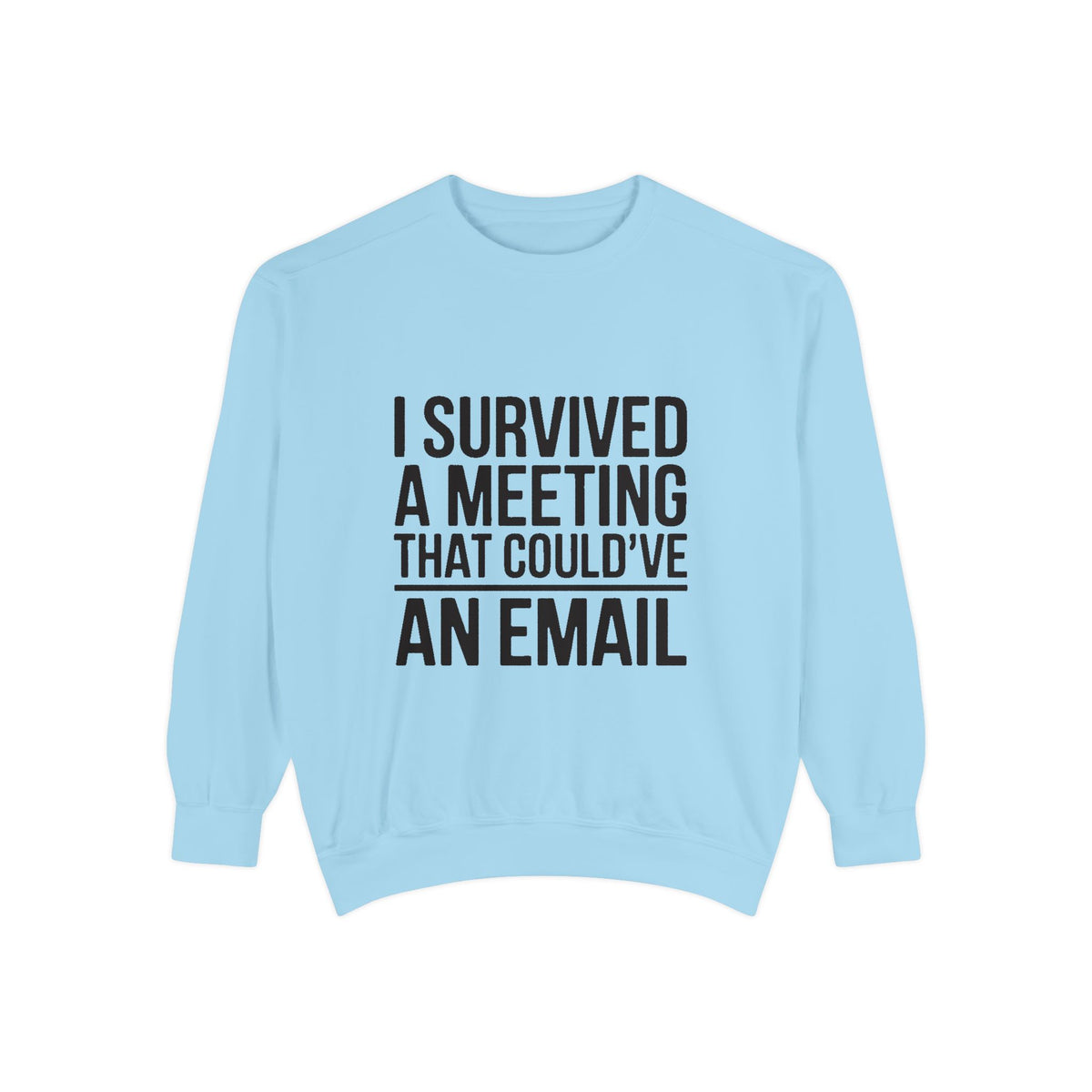 I Survived A Meeting That Could've Been An Email Sweatshirt, Funny Office Crewneck, Sarcastic Coworker Gift, Corporate Humor Sweater