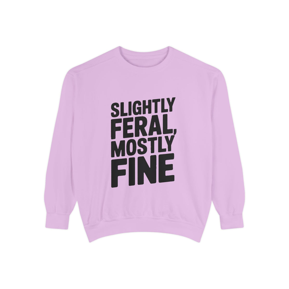 Slightly Feral Mostly Fine Sweatshirt, Funny Embroidered Crewneck, Sarcastic Quote Sweatshirt, Minimalist Text Gift for Her