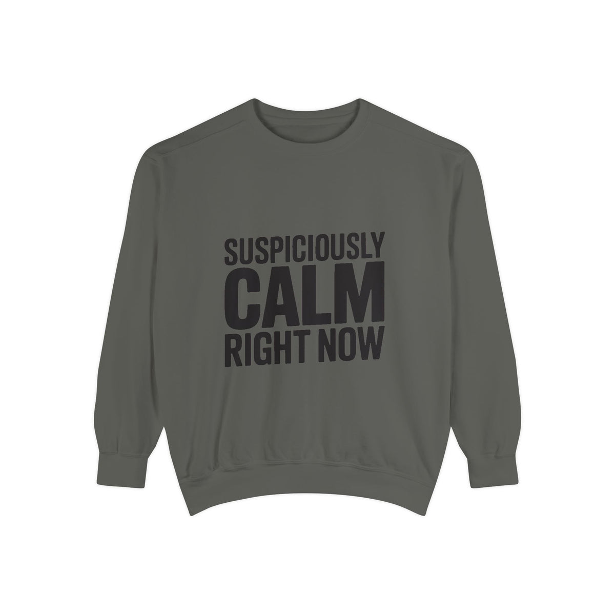 Suspiciously Calm Right Now Sweatshirt, Funny Sarcastic Crewneck, Bold Text Embroidered Patch Style Pullover, Sarcasm Gift