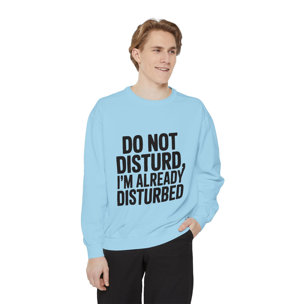 Do Not Disturb Already Disturbed Sweatshirt, Funny Sarcastic Crewneck, Embroidered Patch Style Pullover, Introvert Gift