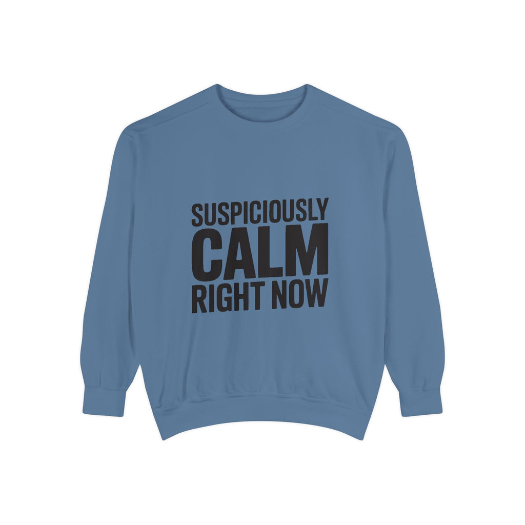 Suspiciously Calm Right Now Sweatshirt, Funny Sarcastic Crewneck, Bold Text Embroidered Patch Style Pullover, Sarcasm Gift
