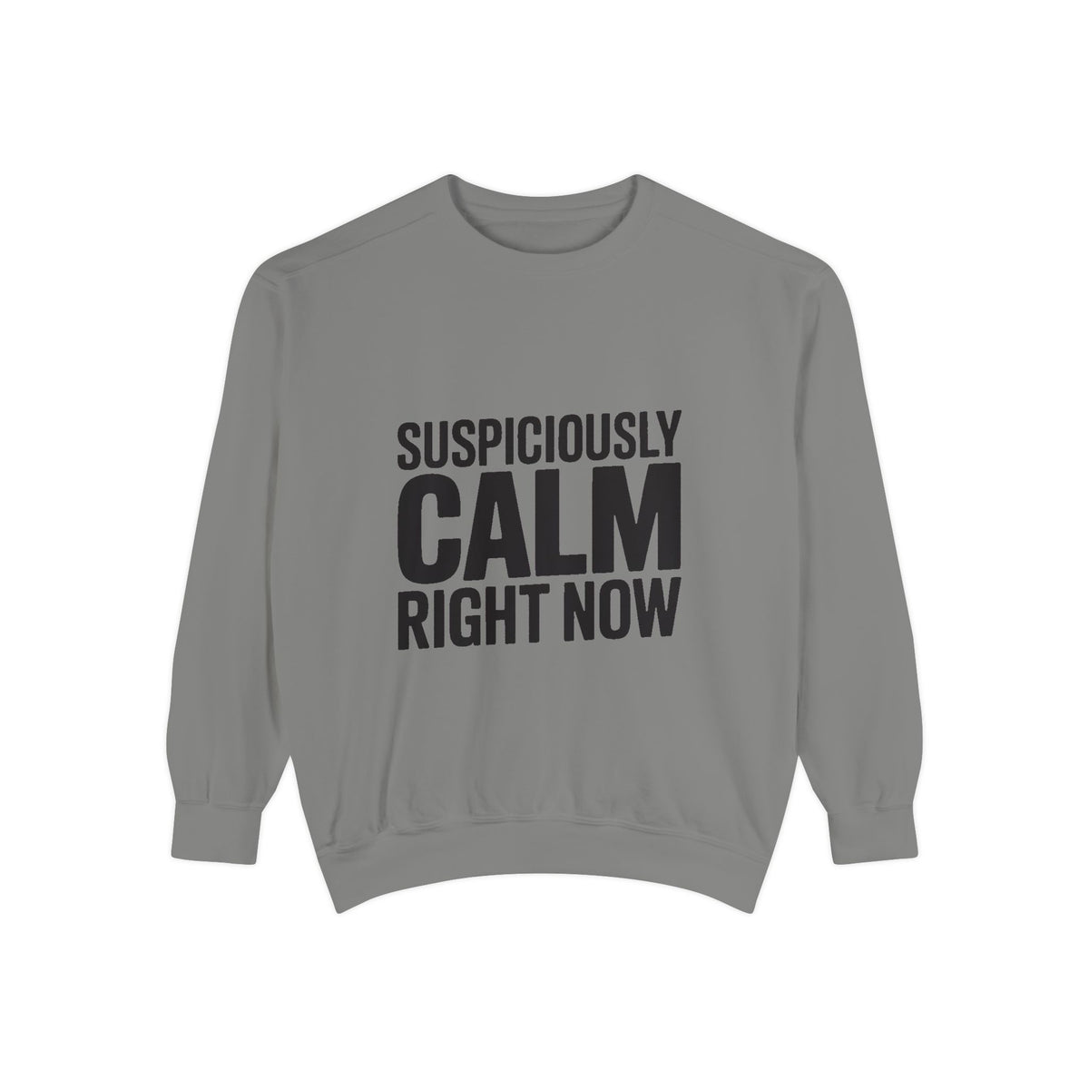 Suspiciously Calm Right Now Sweatshirt, Funny Sarcastic Crewneck, Bold Text Embroidered Patch Style Pullover, Sarcasm Gift