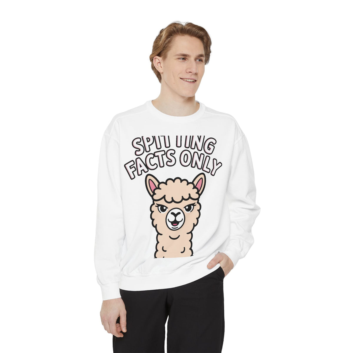 Alpaca Spitting Facts Sweatshirt, Funny Sassy Alpaca Crewneck, Cute Embroidered-Style Animal Sweatshirt, Alpaca Lover Gift