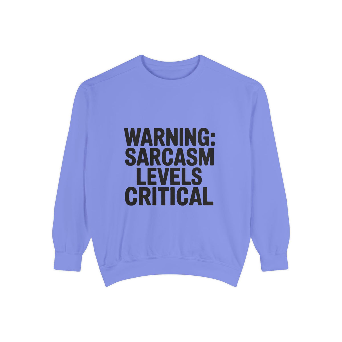 Warning Sarcasm Levels Critical Sweatshirt, Funny Embroidered Crewneck, Sarcastic Quote Pullover, Gift for Sarcastic Friend