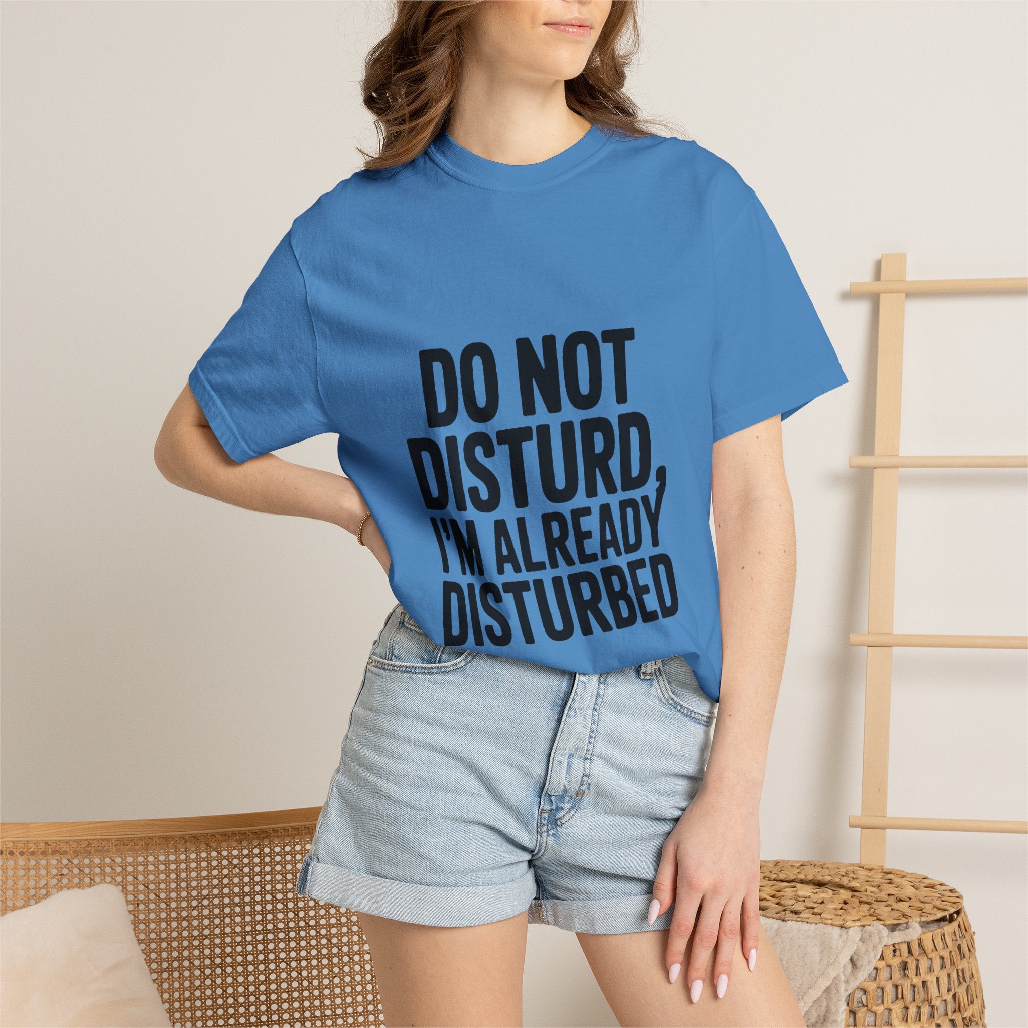 Do Not Disturb Already Disturbed Shirt, Funny Sarcastic T-Shirt, Introvert Humor Tee, Weird Mood Gift