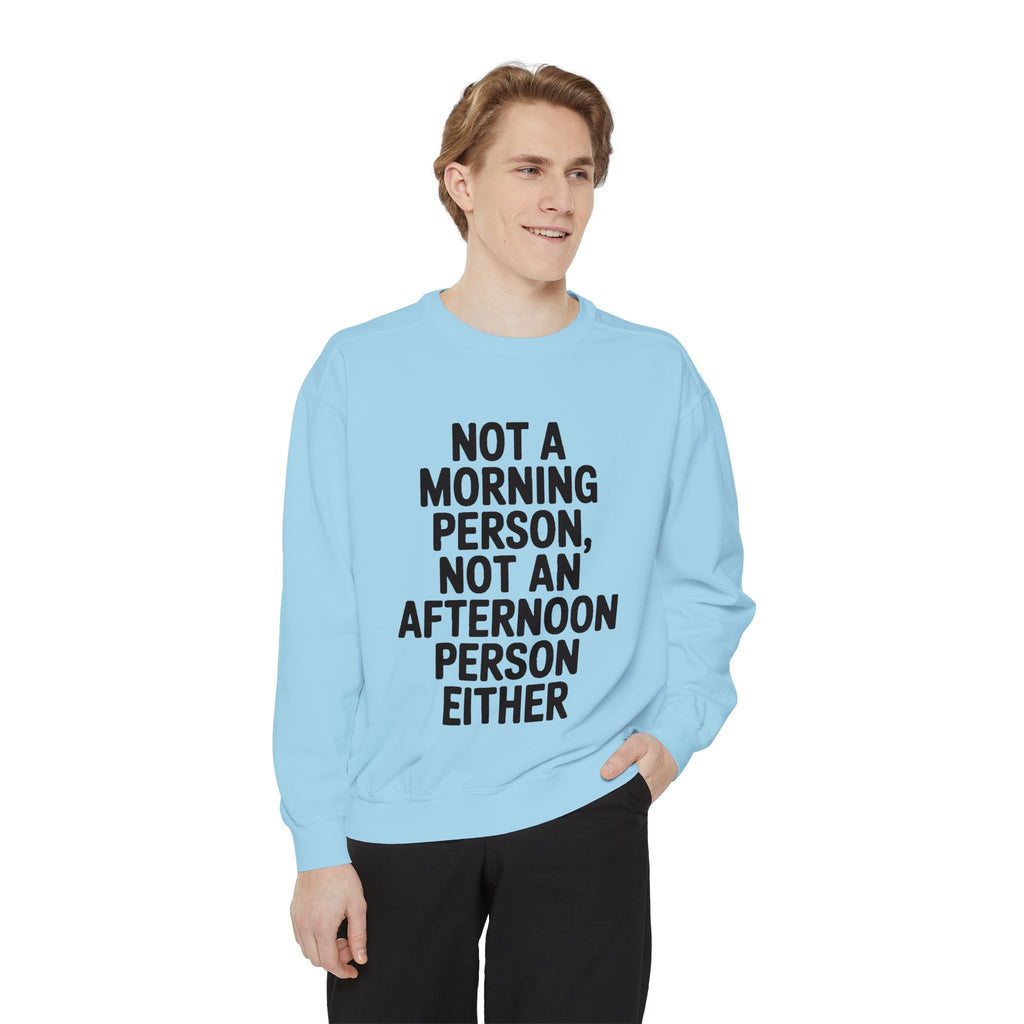 Not A Morning Person Sweatshirt, Funny Sarcastic Crewneck, Anti Morning Afternoon Person Shirt, Introvert Humor Gift