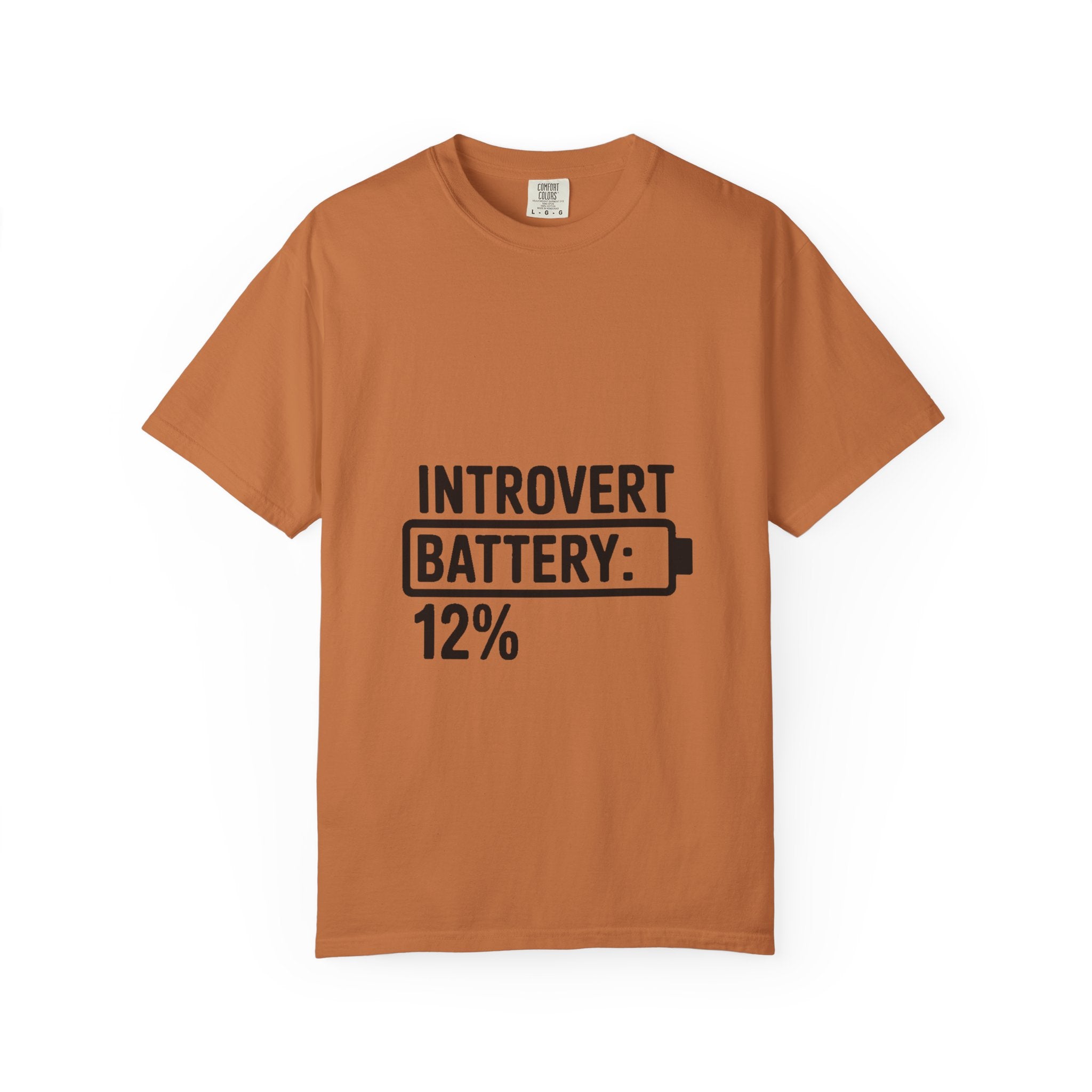 Introvert Battery Low Shirt, Funny Introvert Battery 12% Tee, Social Anxiety Humor T-Shirt, Sarcastic Gift for Introverts