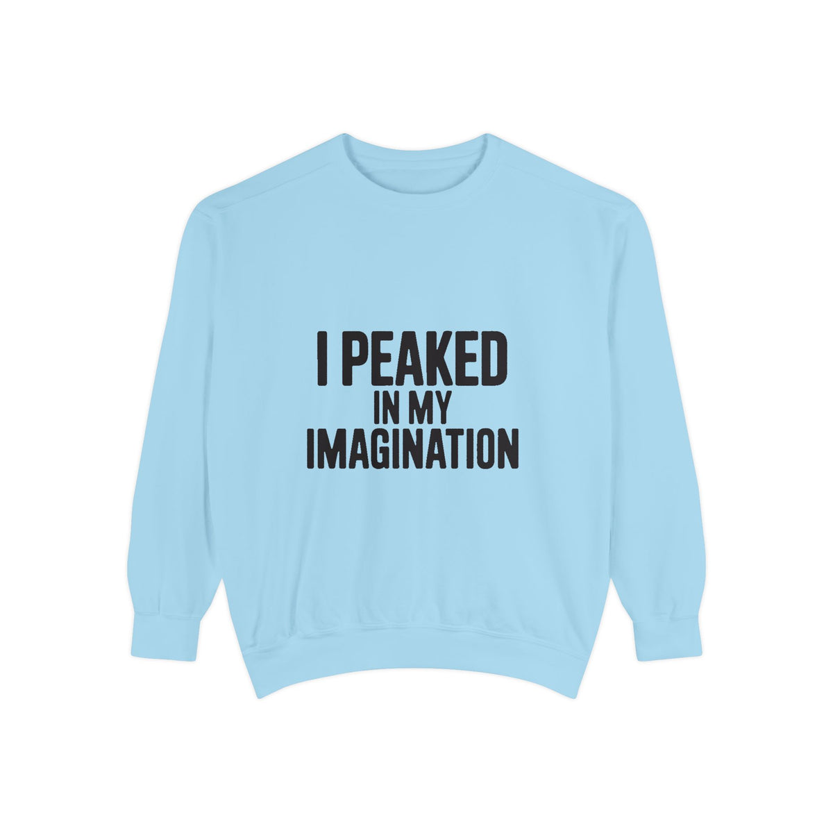 I Peaked In My Imagination Sweatshirt, Funny Sarcastic Crewneck, Bold Typography Embroidered Sweatshirt, Daydreamer Gift