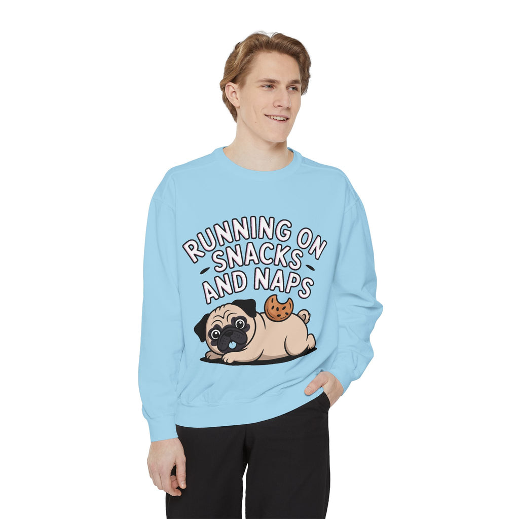 Pug Sweatshirt, Funny Running On Snacks And Naps Crewneck, Cute Pug Lover Gift, Embroidered Patch Style Dog Sweater