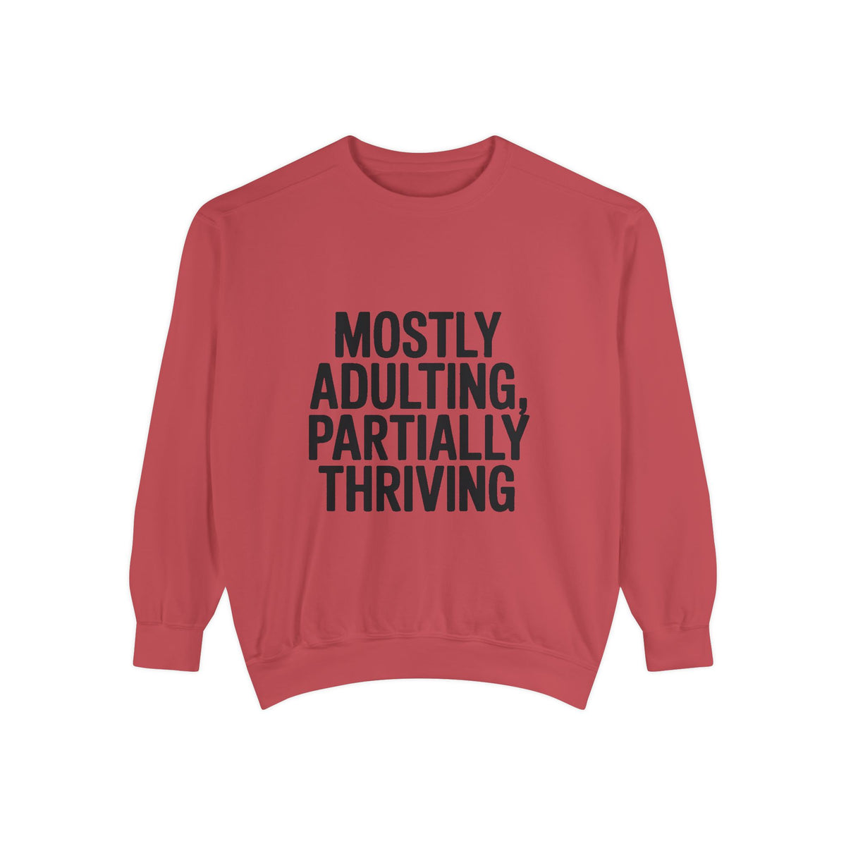 Mostly Adulting Partially Thriving Sweatshirt, Funny Embroidered Crewneck, Sarcastic Adult Life Sweatshirt, Trendy Minimalist Gift