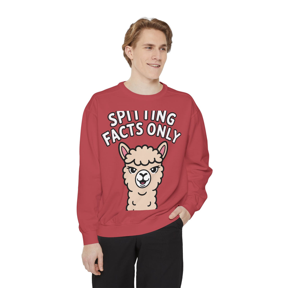 Alpaca Spitting Facts Sweatshirt, Funny Sassy Alpaca Crewneck, Cute Embroidered-Style Animal Sweatshirt, Alpaca Lover Gift