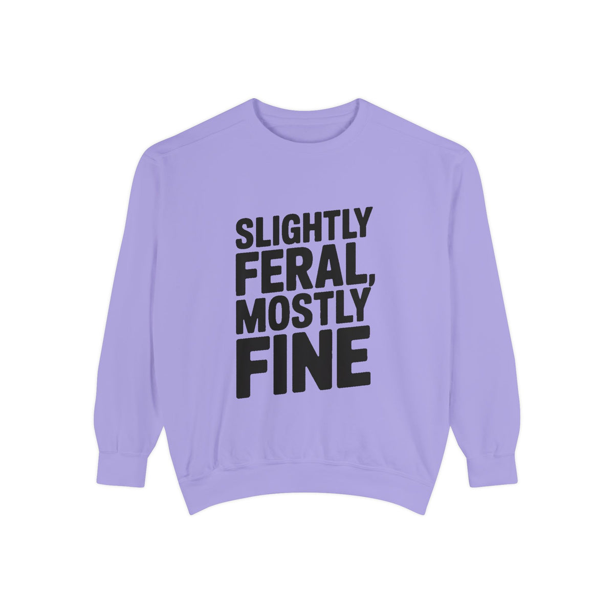 Slightly Feral Mostly Fine Sweatshirt, Funny Embroidered Crewneck, Sarcastic Quote Sweatshirt, Minimalist Text Gift for Her