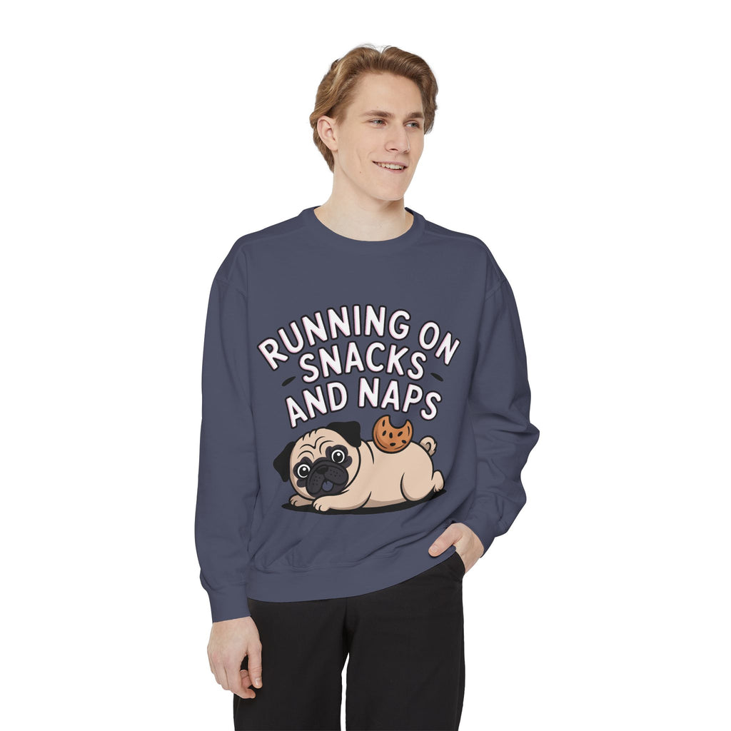 Pug Sweatshirt, Funny Running On Snacks And Naps Crewneck, Cute Pug Lover Gift, Embroidered Patch Style Dog Sweater