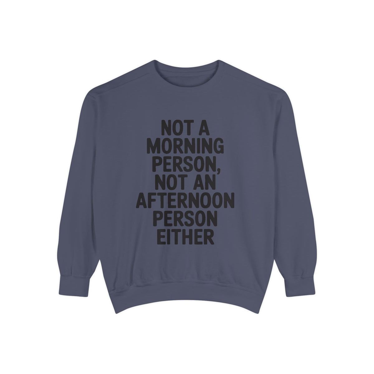 Not A Morning Person Sweatshirt, Funny Sarcastic Crewneck, Anti Morning Afternoon Person Shirt, Introvert Humor Gift