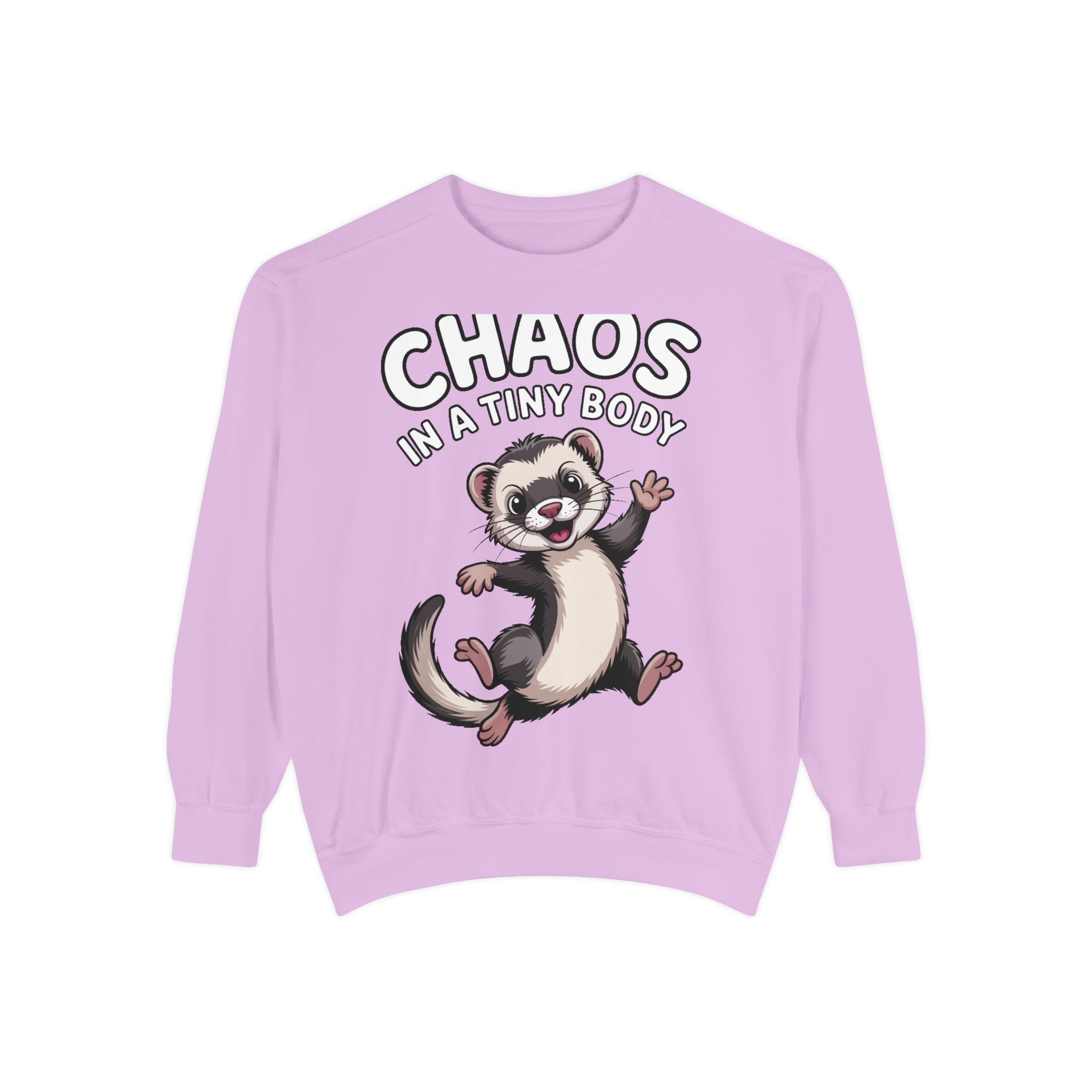 Funny Ferret Sweatshirt, Chaos In A Tiny Body Crewneck, Cute Ferret Lover Gift, Embroidered Style Ferret Sweatshirt For Pet Owners