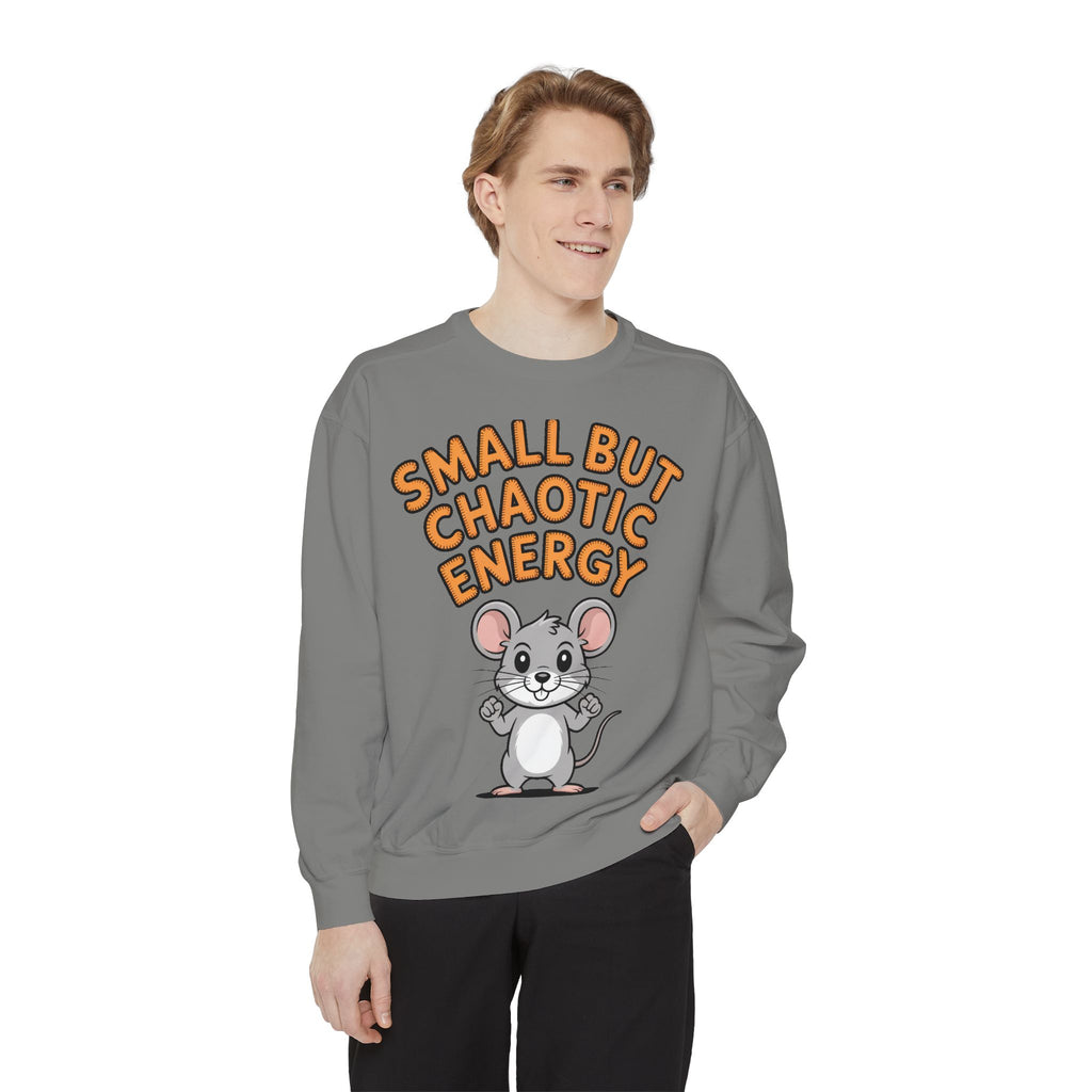 Small But Chaotic Energy Sweatshirt, Funny Mouse Crewneck, Cute Cartoon Mouse Sweatshirt, Embroidered Patch Style Gift