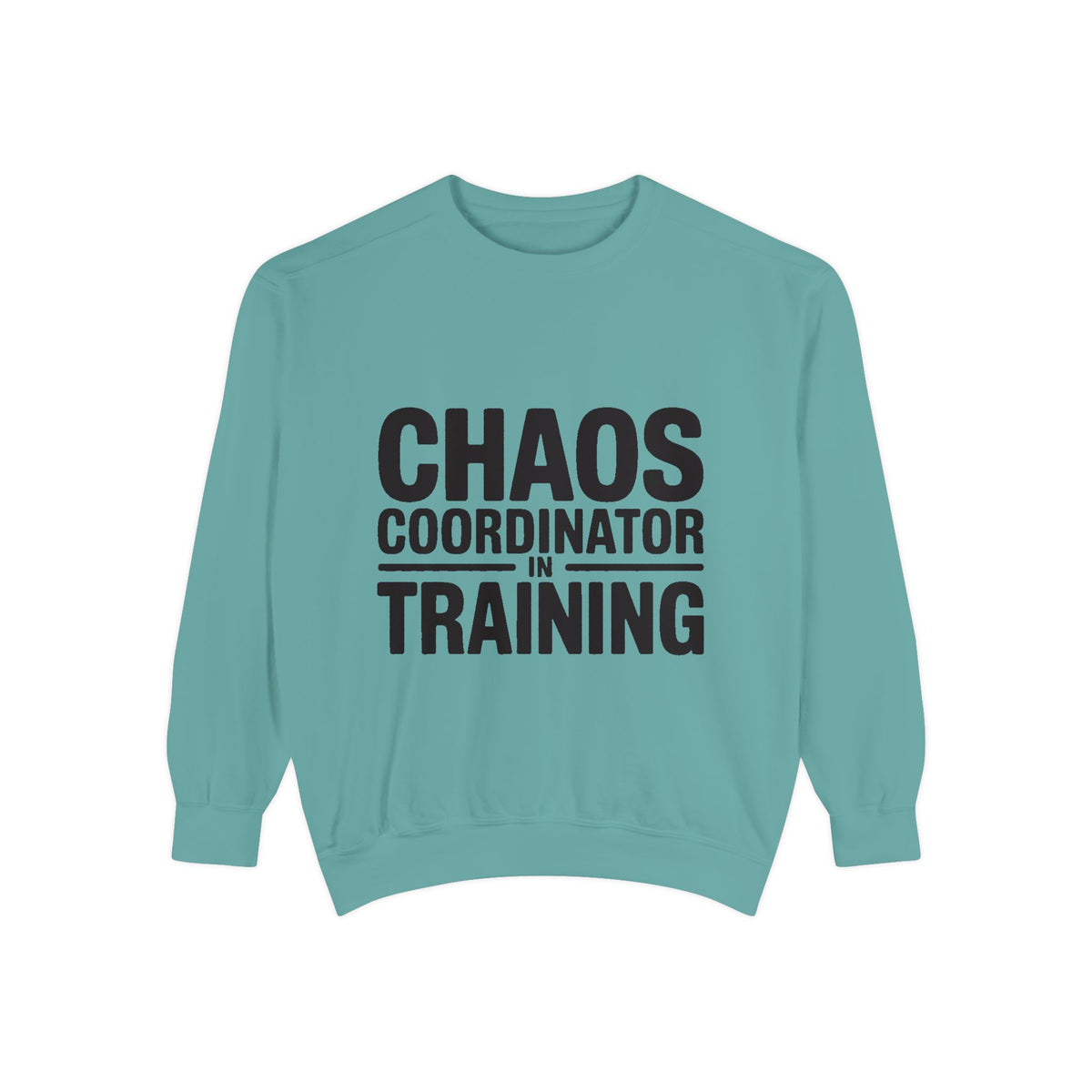 Chaos Coordinator In Training Sweatshirt, Funny Mom Crewneck, Embroidered Style Bold Text Sweatshirt, Teacher Nurse Gift