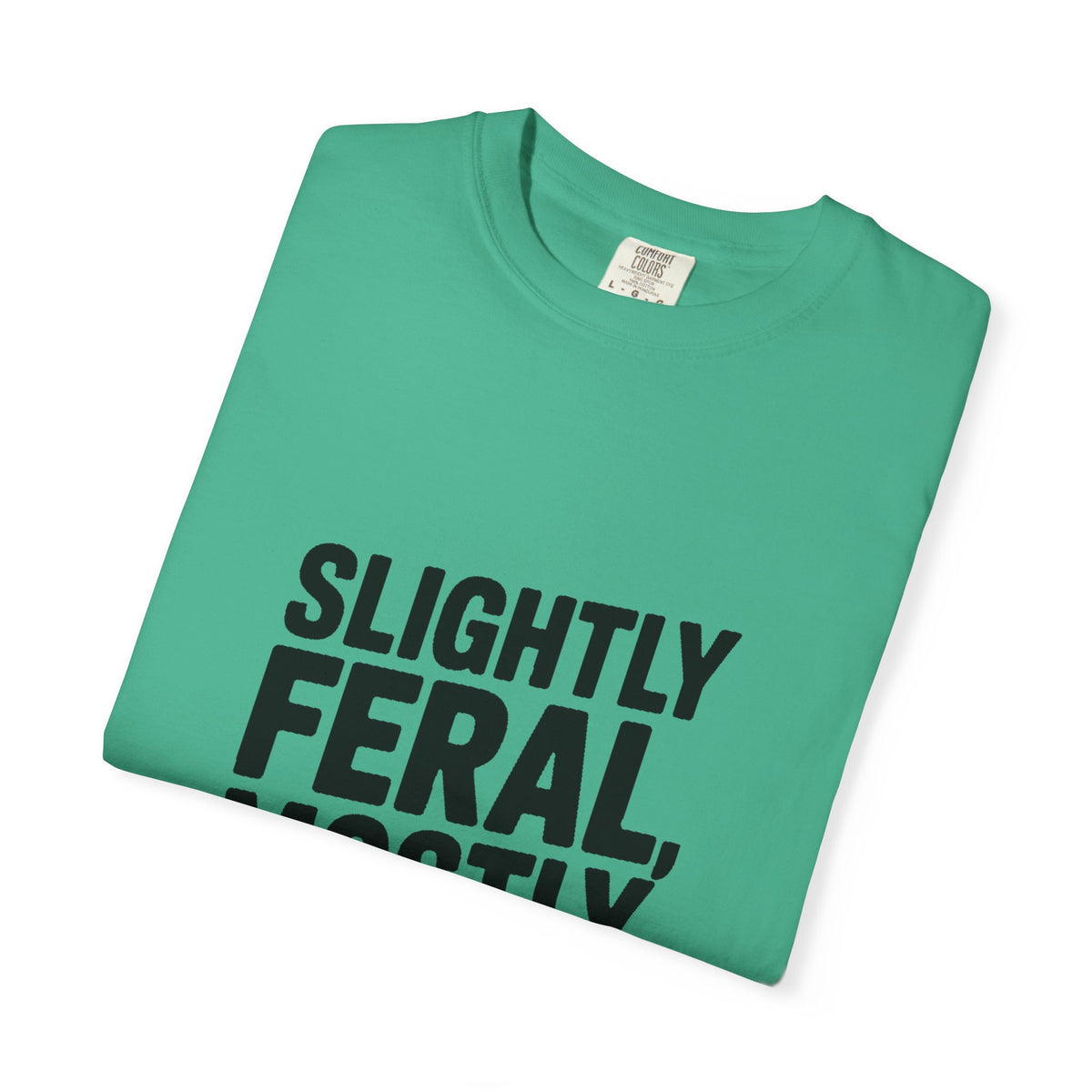 Slightly Feral Mostly Fine Shirt, Funny Sarcastic T-Shirt, Bold Minimalist Text Tee, Funny Gift for Friend