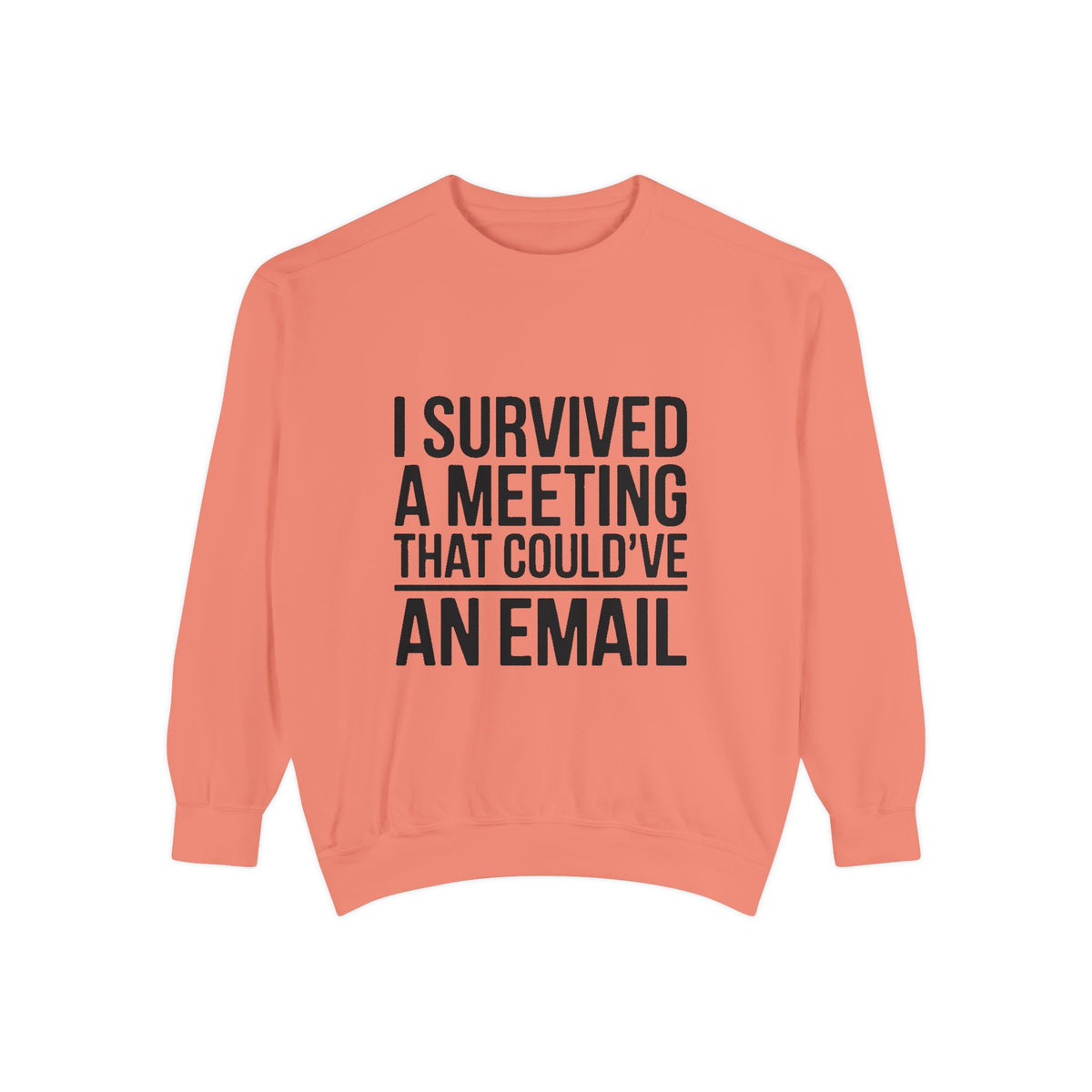 I Survived A Meeting That Could've Been An Email Sweatshirt, Funny Office Crewneck, Sarcastic Coworker Gift, Corporate Humor Sweater
