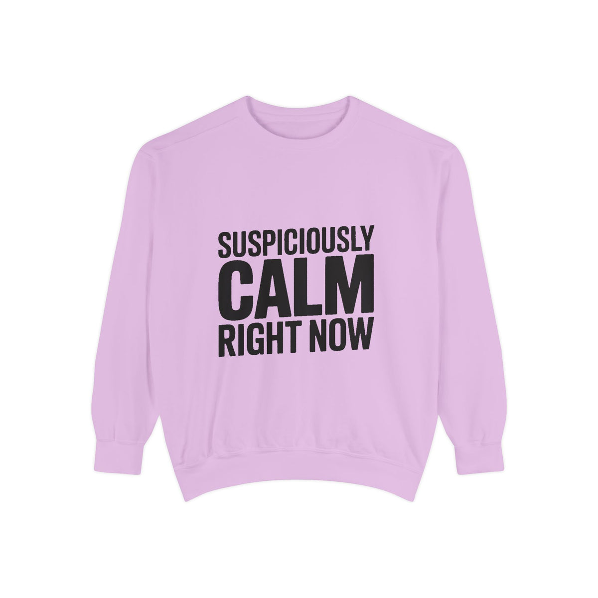 Suspiciously Calm Right Now Sweatshirt, Funny Sarcastic Crewneck, Bold Text Embroidered Patch Style Pullover, Sarcasm Gift