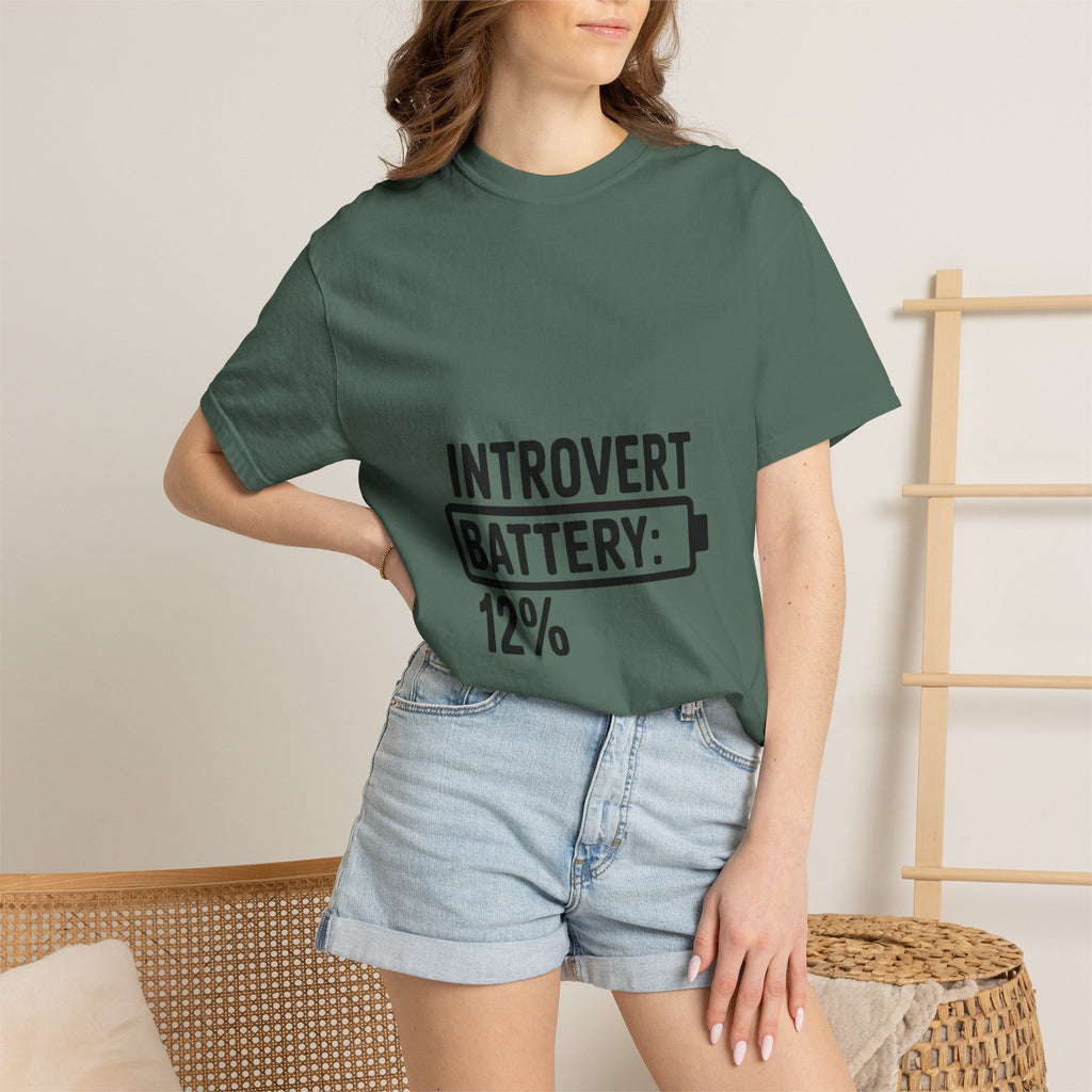 Introvert Battery Low Shirt, Funny Introvert Battery 12% Tee, Social Anxiety Humor T-Shirt, Sarcastic Gift for Introverts