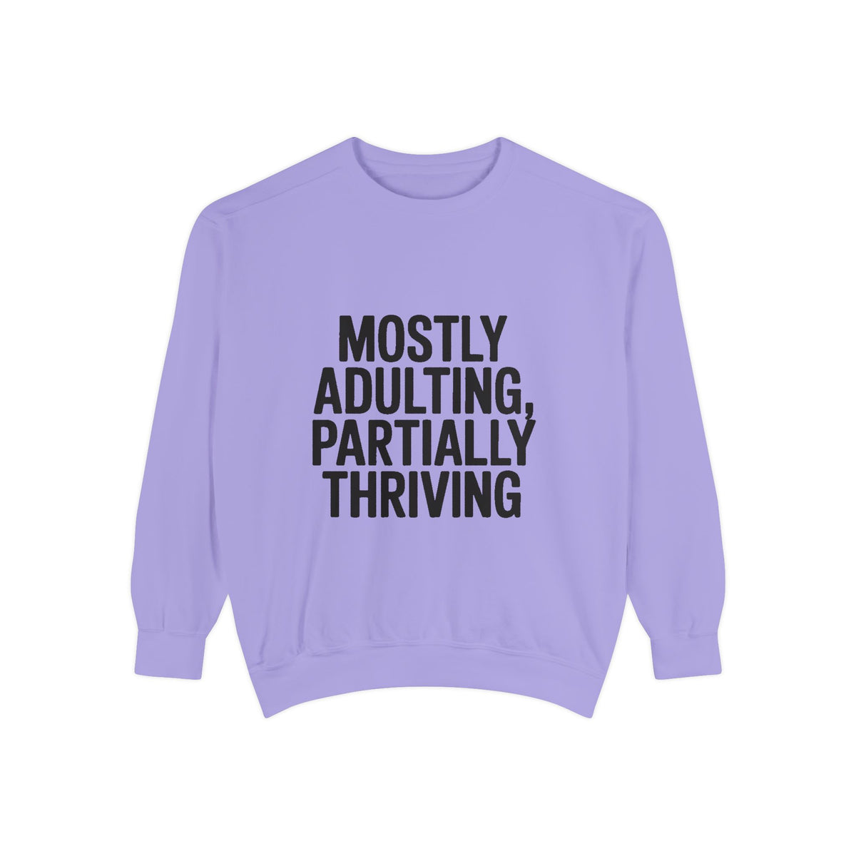 Mostly Adulting Partially Thriving Sweatshirt, Funny Embroidered Crewneck, Sarcastic Adult Life Sweatshirt, Trendy Minimalist Gift