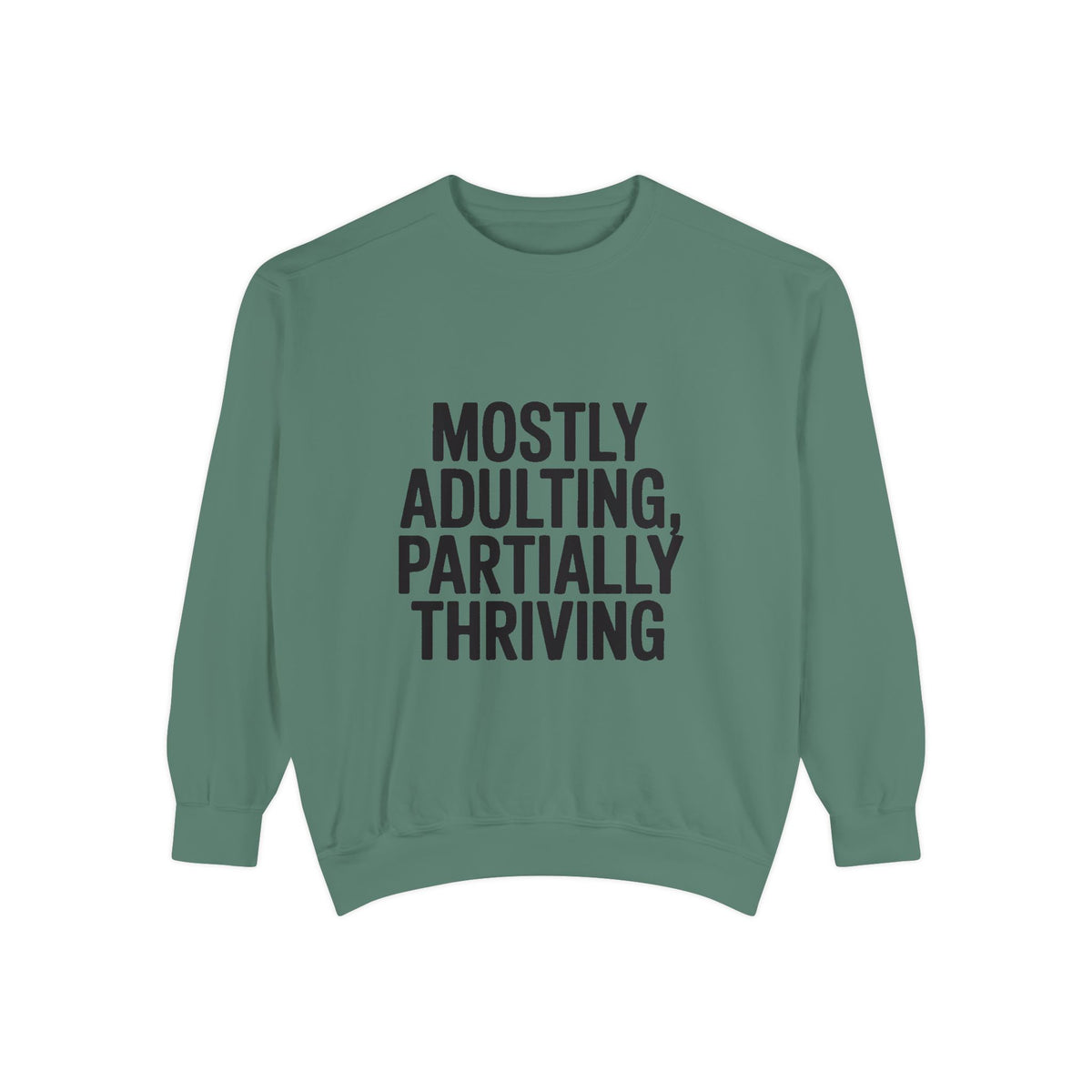 Mostly Adulting Partially Thriving Sweatshirt, Funny Embroidered Crewneck, Sarcastic Adult Life Sweatshirt, Trendy Minimalist Gift