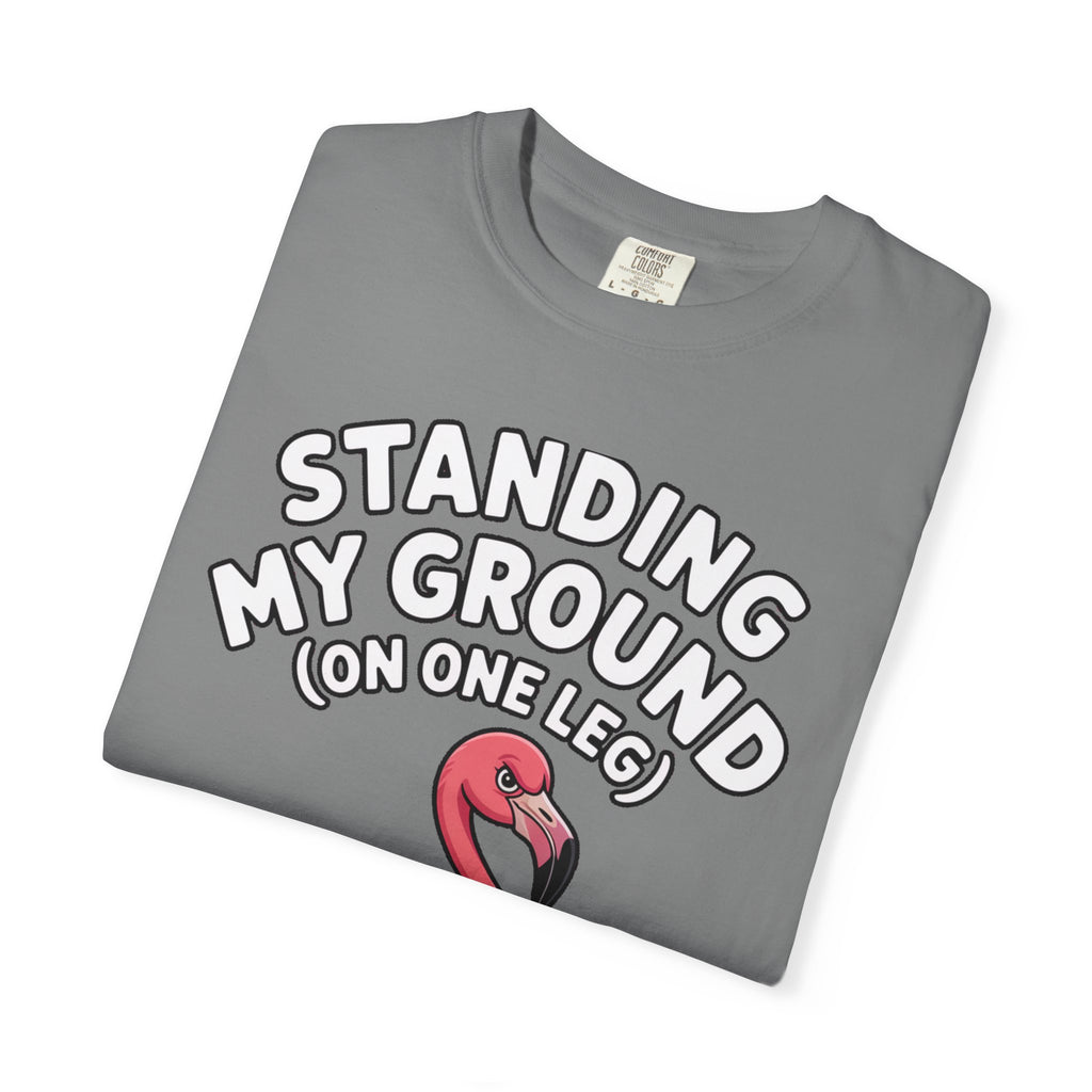 Standing My Ground Flamingo Shirt, Funny One Leg Flamingo T-Shirt, Sassy Bird Lover Gift, Cute Cartoon Flamingo Tee
