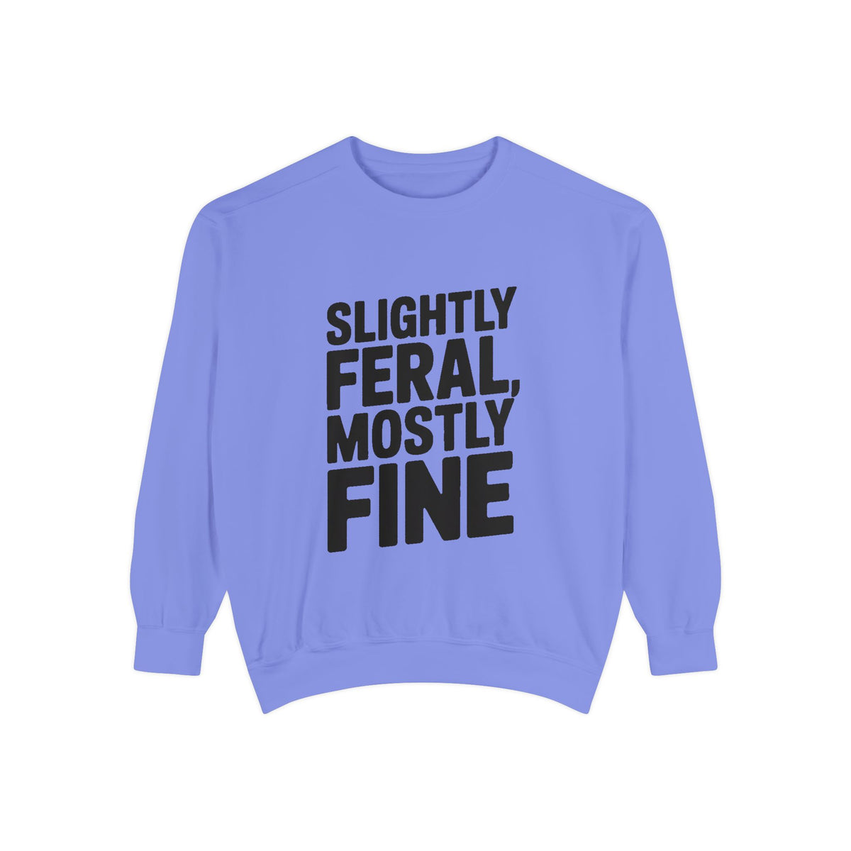Slightly Feral Mostly Fine Sweatshirt, Funny Embroidered Crewneck, Sarcastic Quote Sweatshirt, Minimalist Text Gift for Her