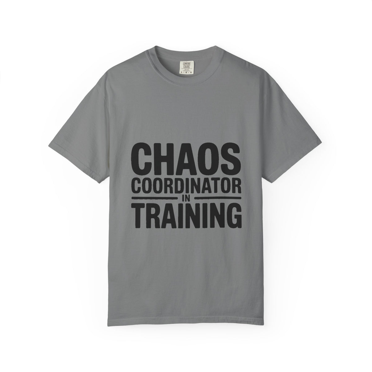 Chaos Coordinator In Training Shirt, Funny Bold Typography Tee, Sarcastic Mom Life T-Shirt, Gift for New Parents or Teachers