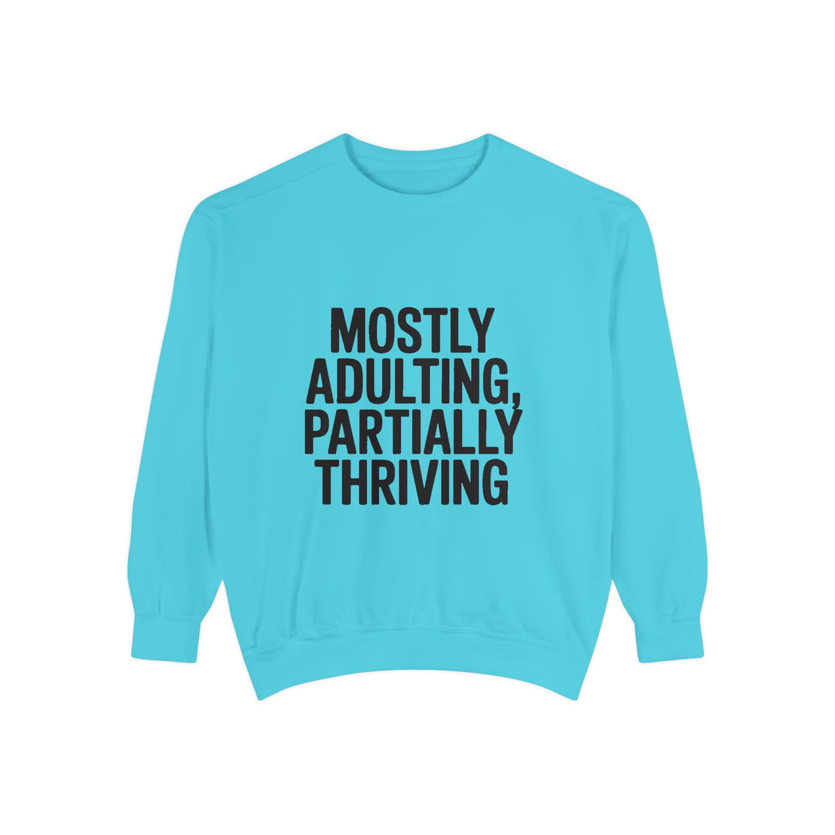 Mostly Adulting Partially Thriving Sweatshirt, Funny Embroidered Crewneck, Sarcastic Adult Life Sweatshirt, Trendy Minimalist Gift