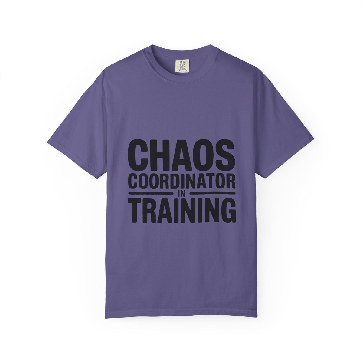 Chaos Coordinator In Training Shirt, Funny Bold Typography Tee, Sarcastic Mom Life T-Shirt, Gift for New Parents or Teachers