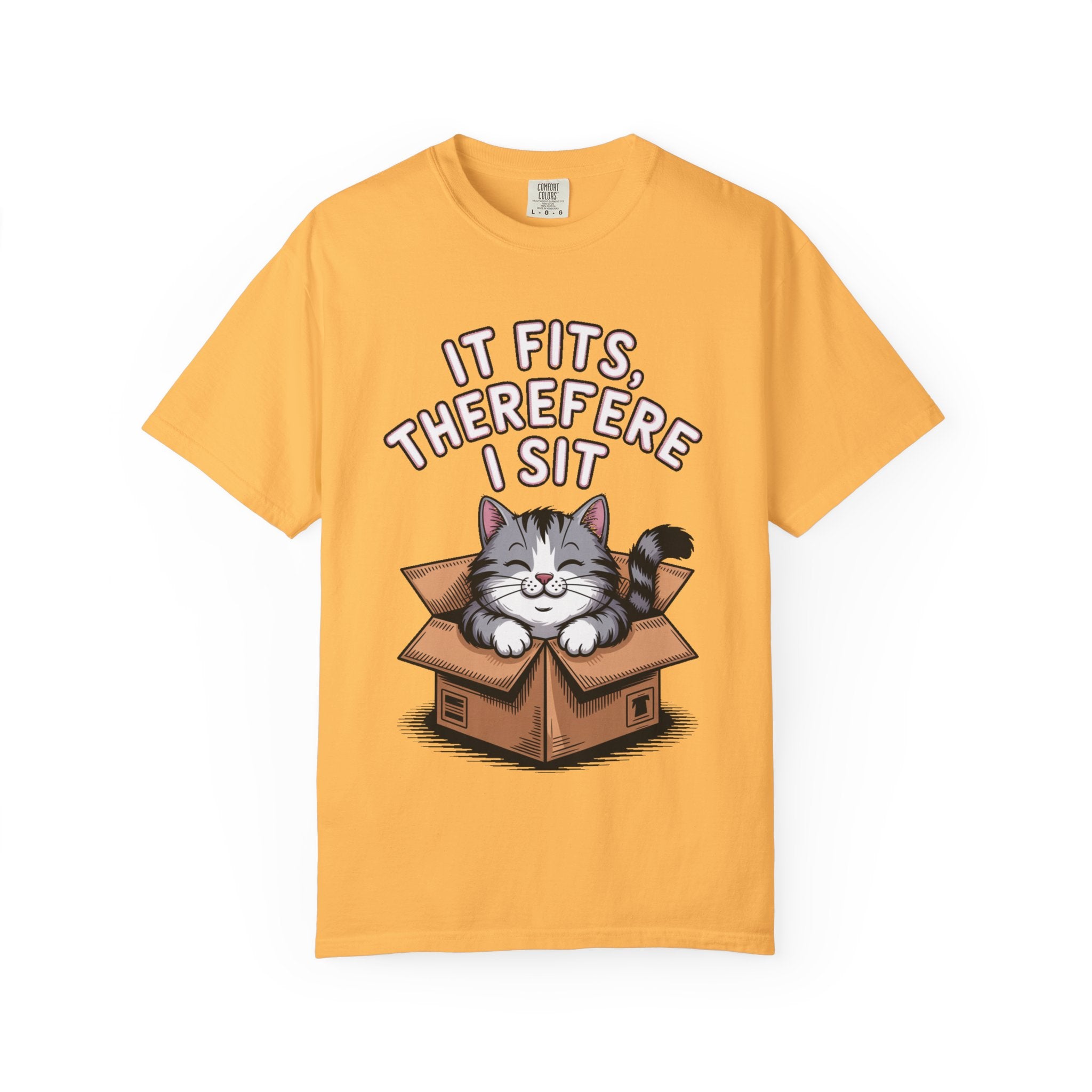 It Fits Therefore I Sit Cat Shirt, Funny Cat In Box T-Shirt, Cute Chubby Cat Lover Gift, Cat Owner Shirt, Funny Cat Meme Tee