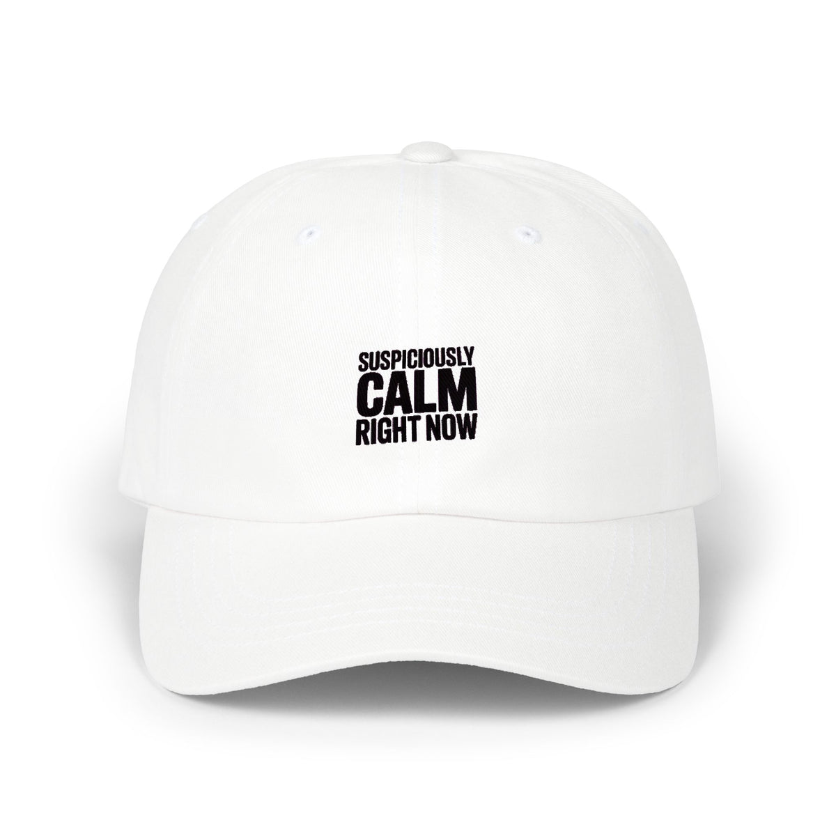 Suspiciously Calm Right Now Dad Hat, Funny Sarcastic Embroidered Cap, Minimalist Text Baseball Hat, Funny Gift for Him or Her