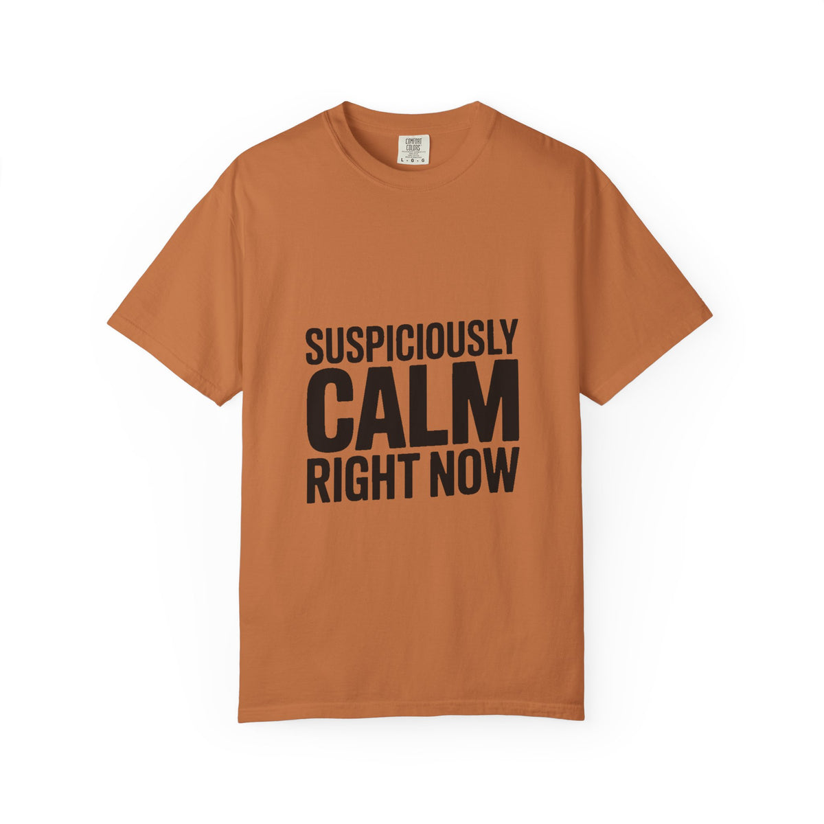 Suspiciously Calm Right Now Shirt, Funny Sarcastic T-Shirt, Bold Typography Tee, Anxiety Humor Shirt, Sarcastic Gift for Him Her