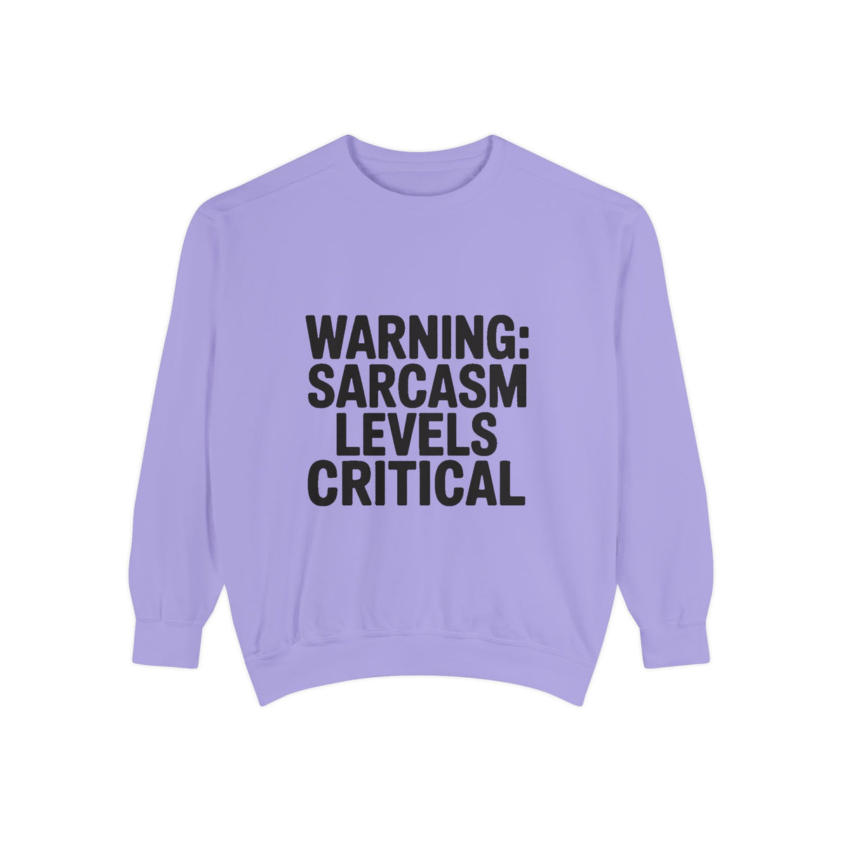 Warning Sarcasm Levels Critical Sweatshirt, Funny Embroidered Crewneck, Sarcastic Quote Pullover, Gift for Sarcastic Friend