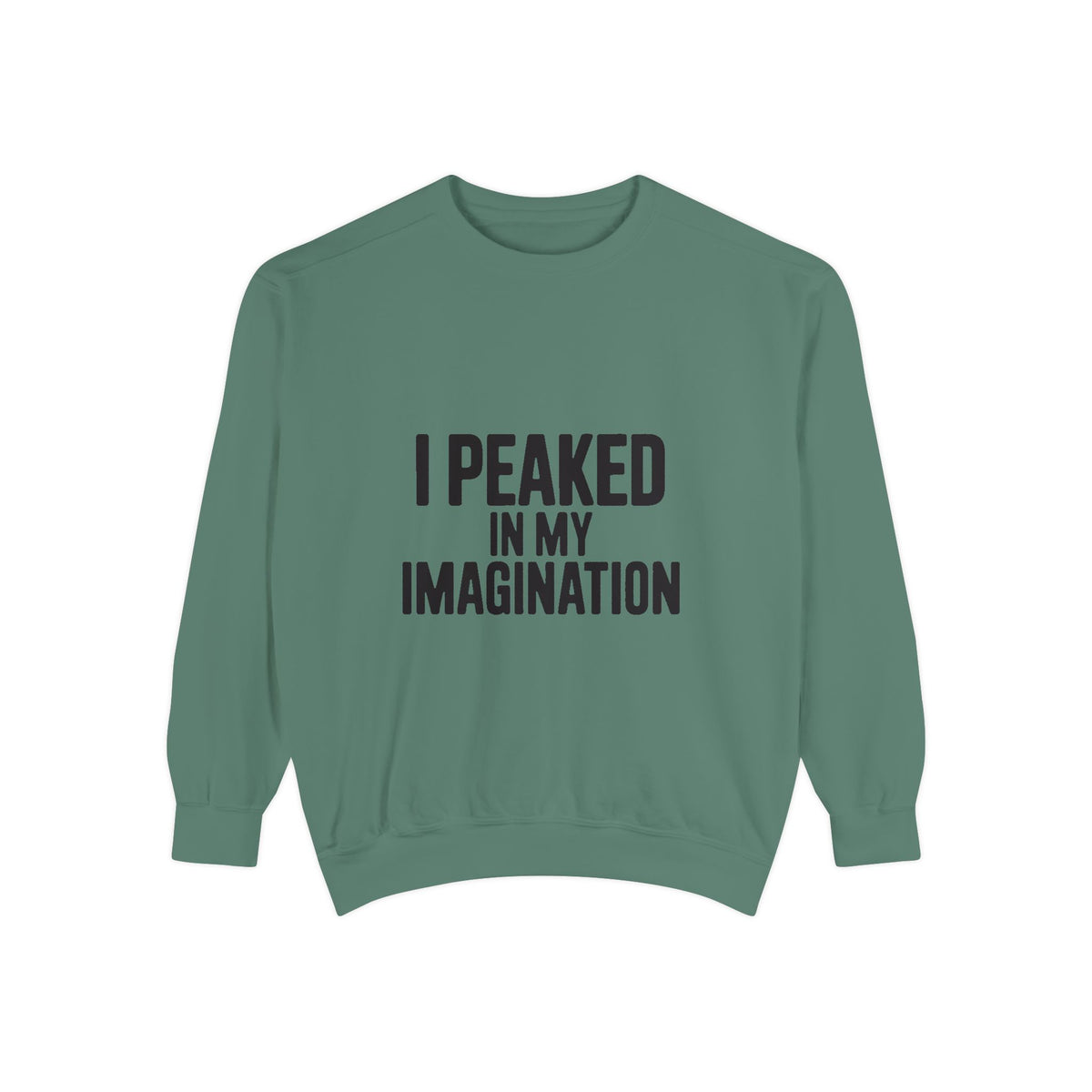 I Peaked In My Imagination Sweatshirt, Funny Sarcastic Crewneck, Bold Typography Embroidered Sweatshirt, Daydreamer Gift