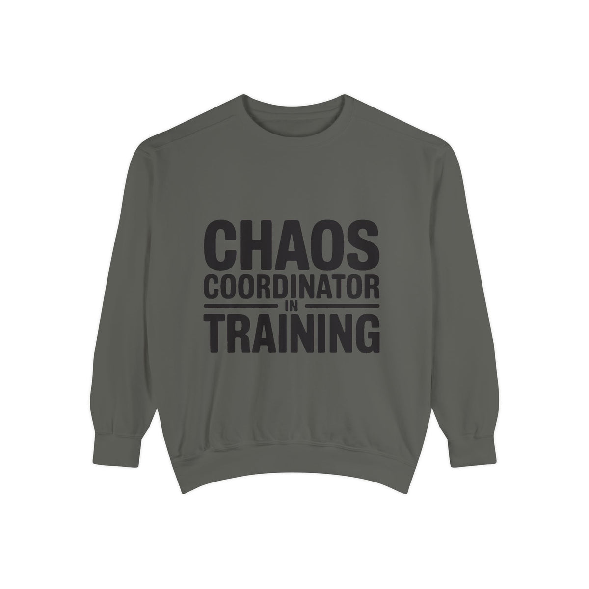 Chaos Coordinator In Training Sweatshirt, Funny Mom Crewneck, Embroidered Style Bold Text Sweatshirt, Teacher Nurse Gift