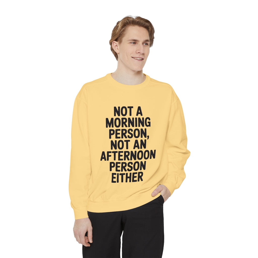 Not A Morning Person Sweatshirt, Funny Sarcastic Crewneck, Anti Morning Afternoon Person Shirt, Introvert Humor Gift