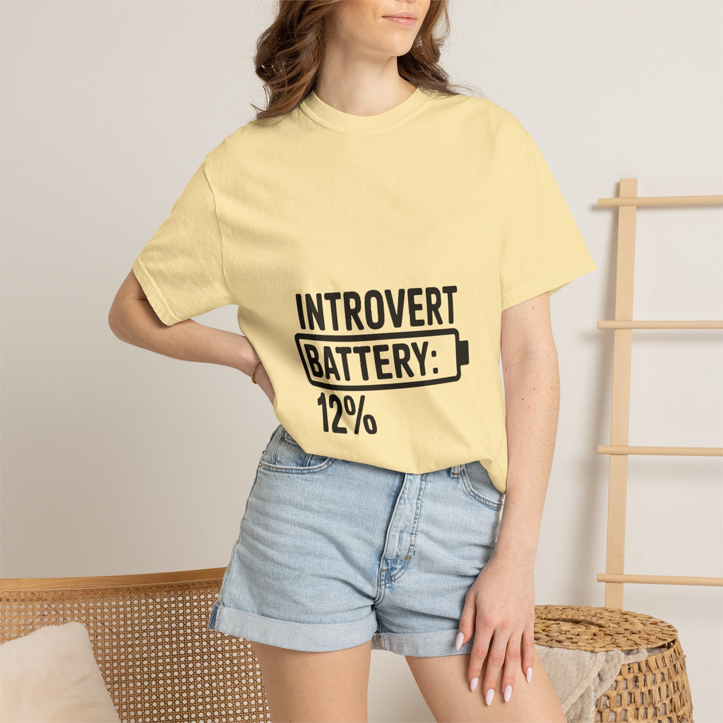Introvert Battery Low Shirt, Funny Introvert Battery 12% Tee, Social Anxiety Humor T-Shirt, Sarcastic Gift for Introverts