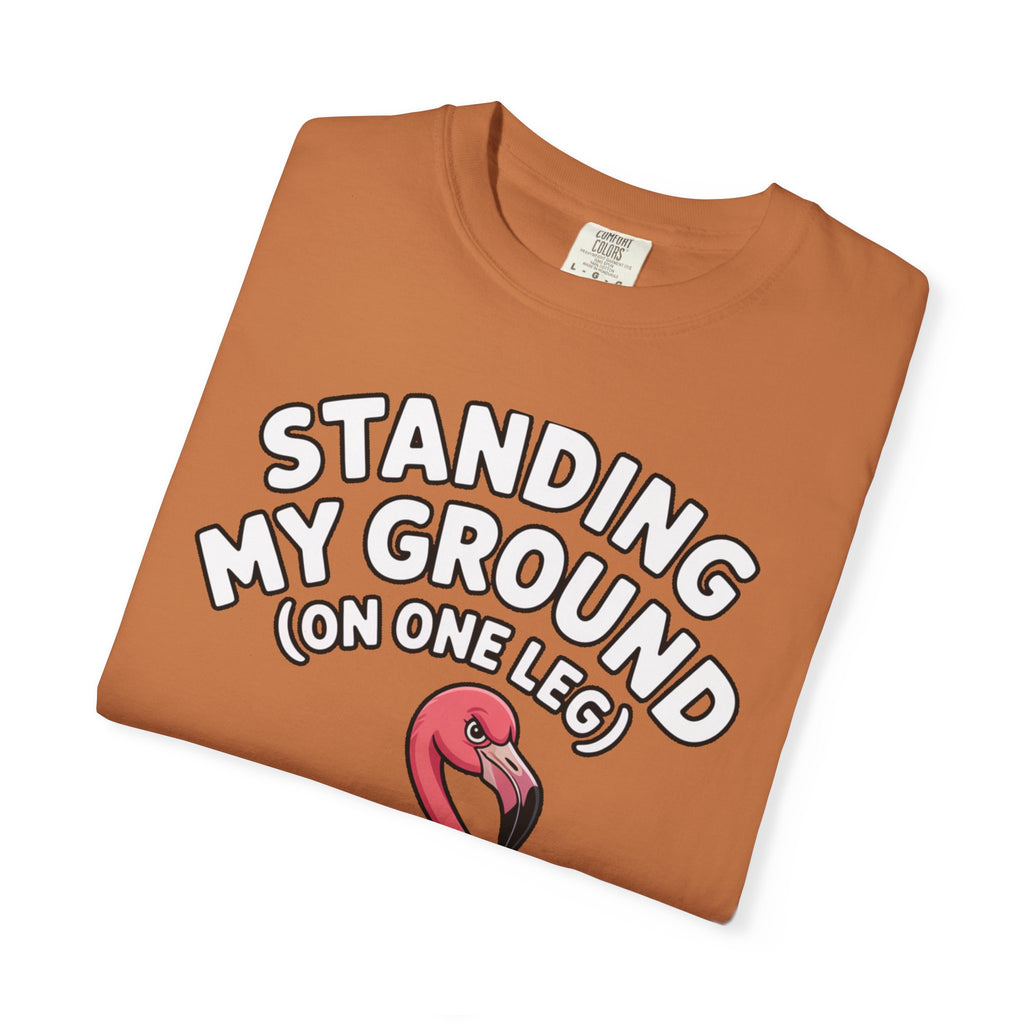 Standing My Ground Flamingo Shirt, Funny One Leg Flamingo T-Shirt, Sassy Bird Lover Gift, Cute Cartoon Flamingo Tee