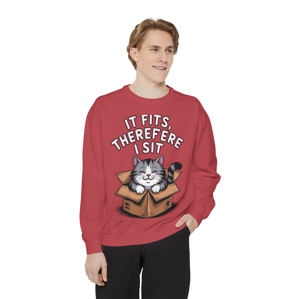 Funny Cat Sweatshirt, It Fits Therefore I Sit Crewneck, Cat In Box Embroidered Sweatshirt, Cat Lover Gift, Funny Cat Lover Sweater