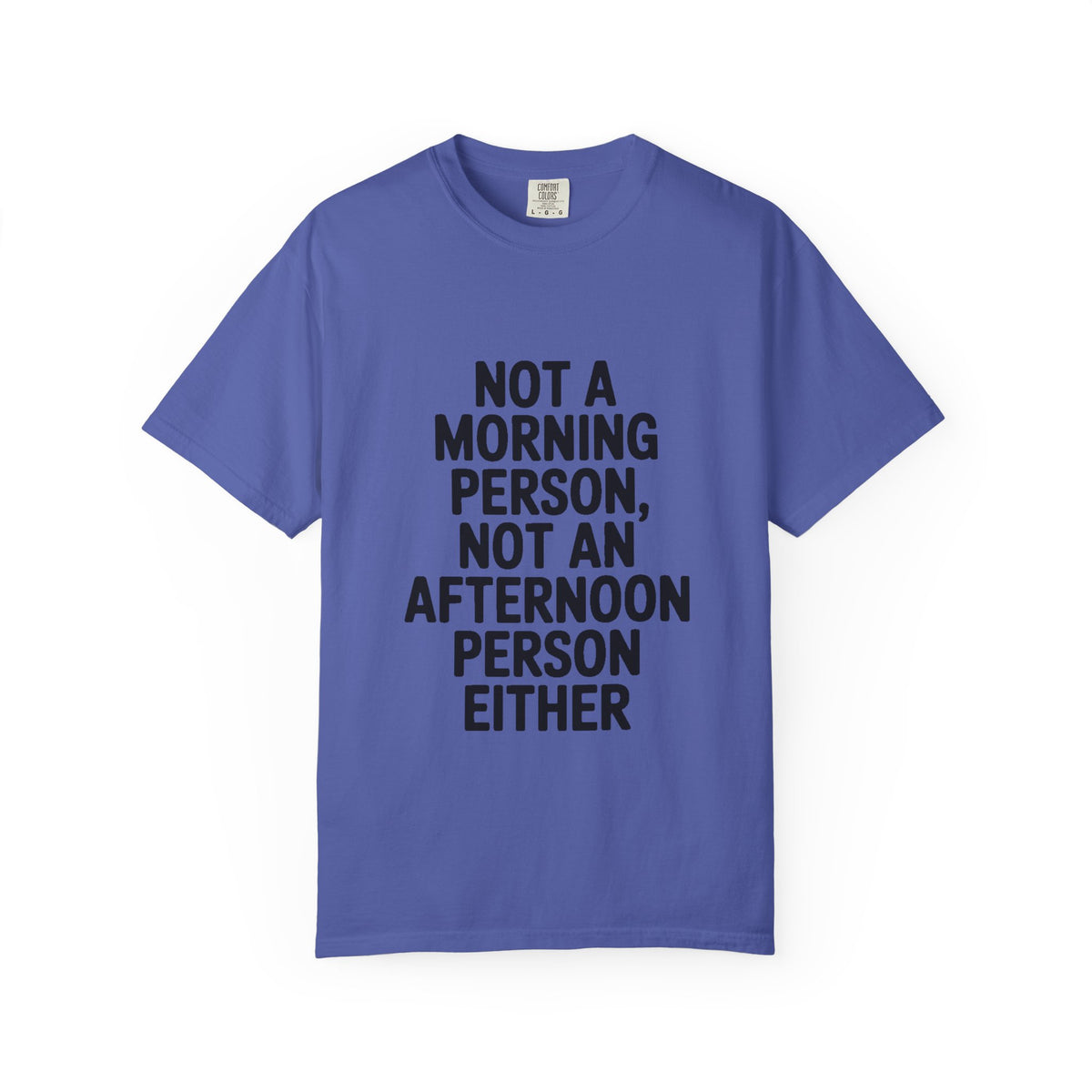 Not A Morning Person Shirt, Funny Sarcastic T-Shirt, Not An Afternoon Person Either Tee, Anti Social Gift