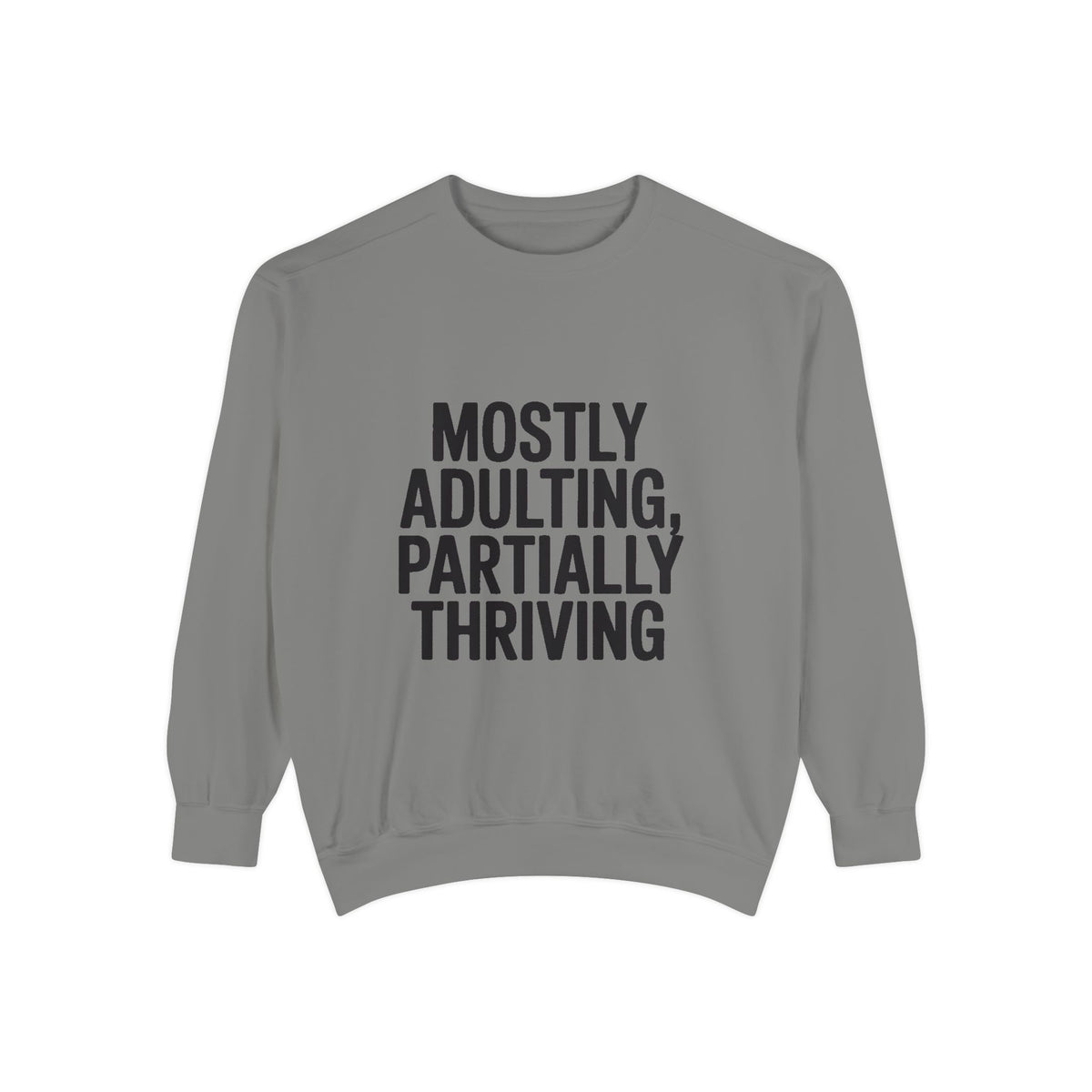 Mostly Adulting Partially Thriving Sweatshirt, Funny Embroidered Crewneck, Sarcastic Adult Life Sweatshirt, Trendy Minimalist Gift