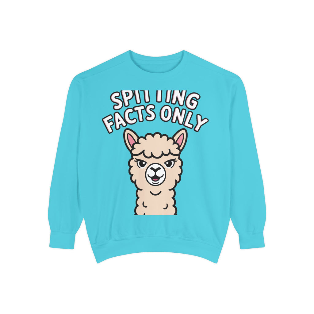 Alpaca Spitting Facts Sweatshirt, Funny Sassy Alpaca Crewneck, Cute Embroidered-Style Animal Sweatshirt, Alpaca Lover Gift
